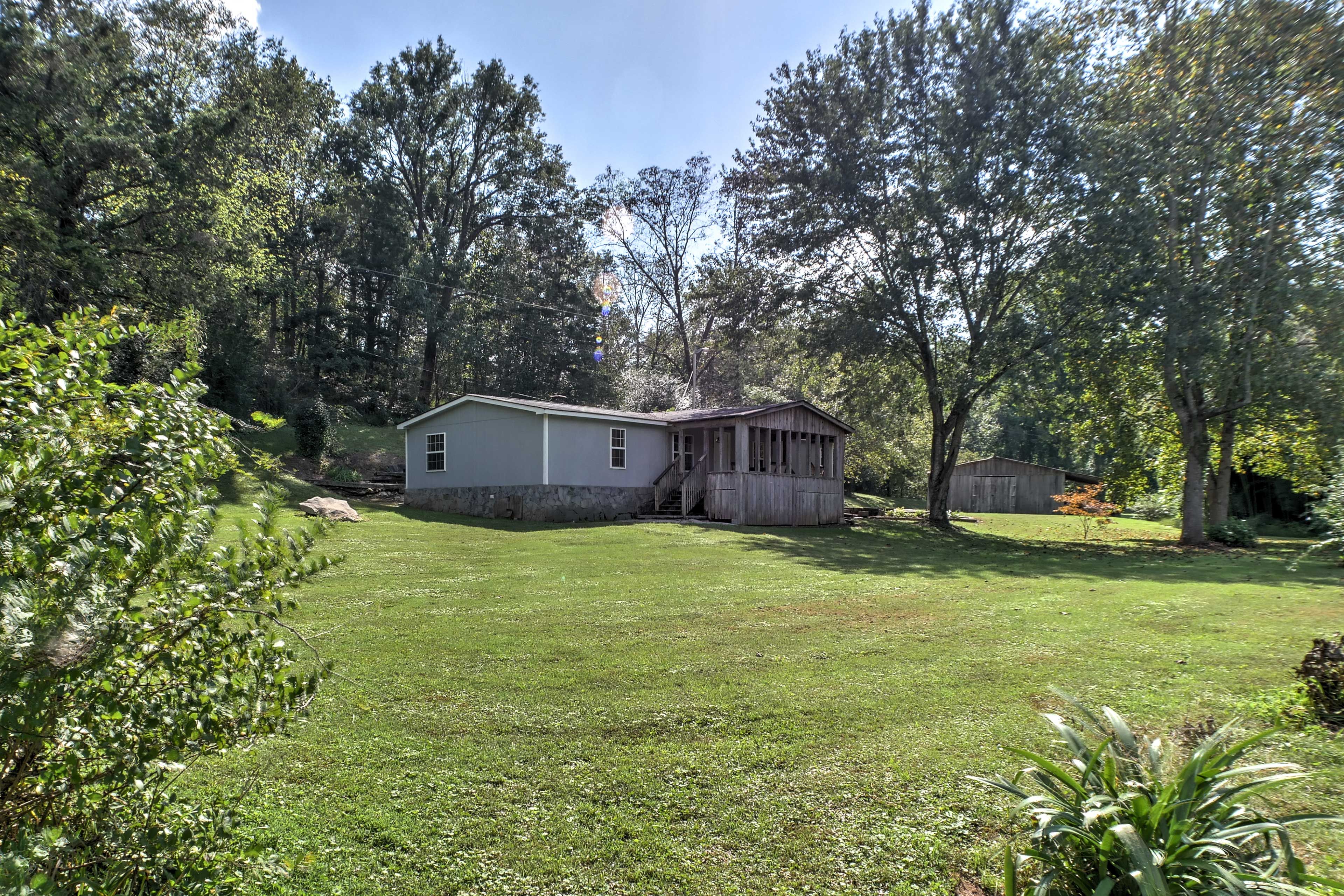 Backyard
