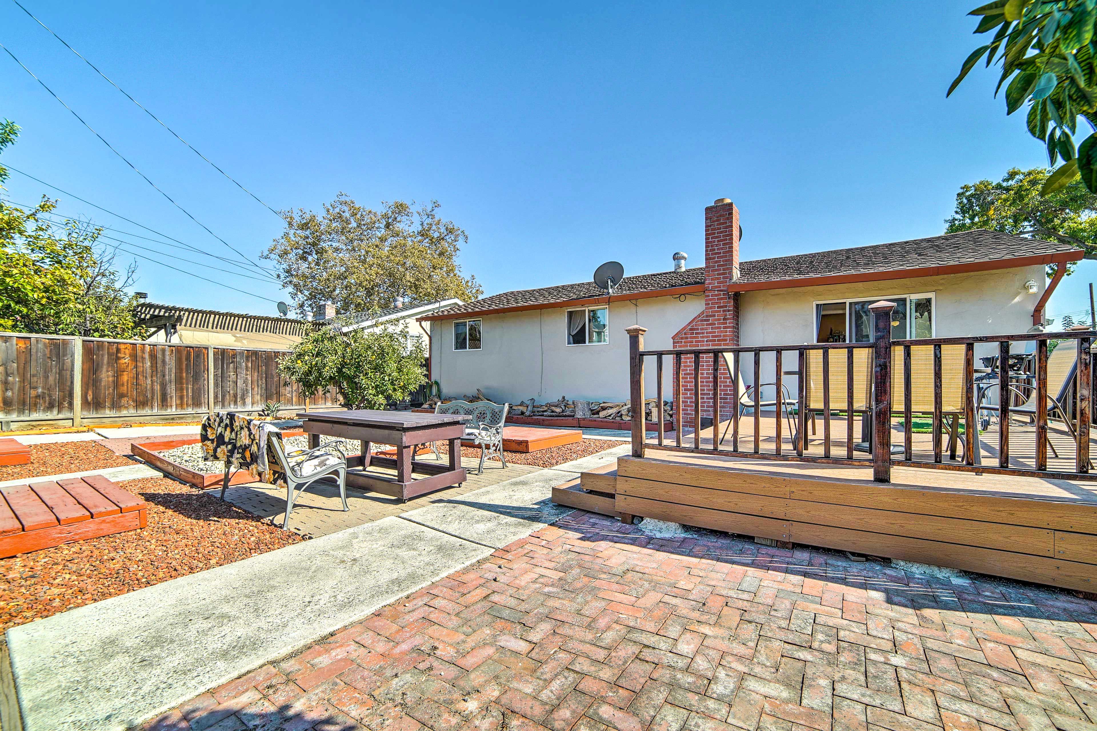 Private Backyard | Apple Tree