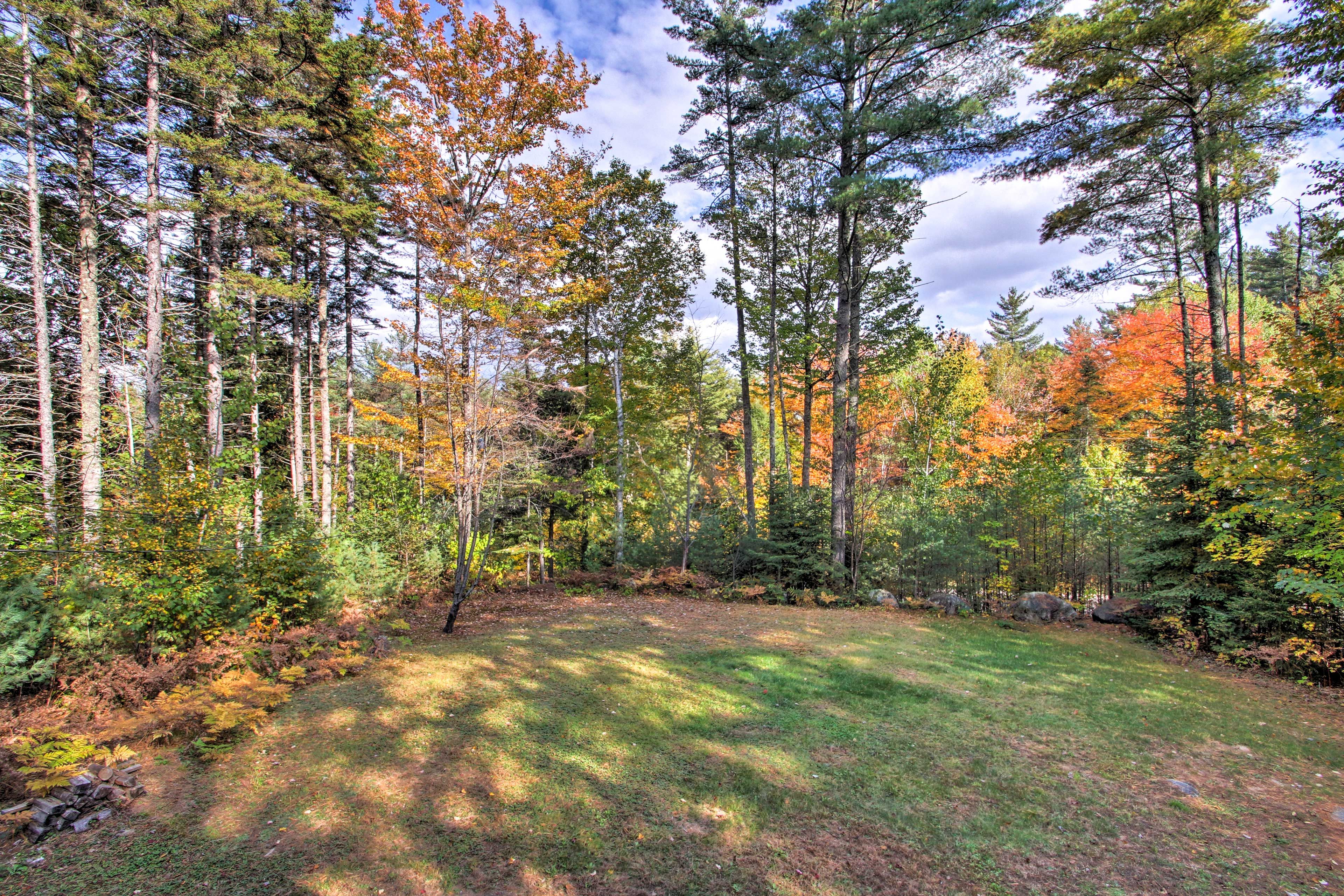 Large Yard