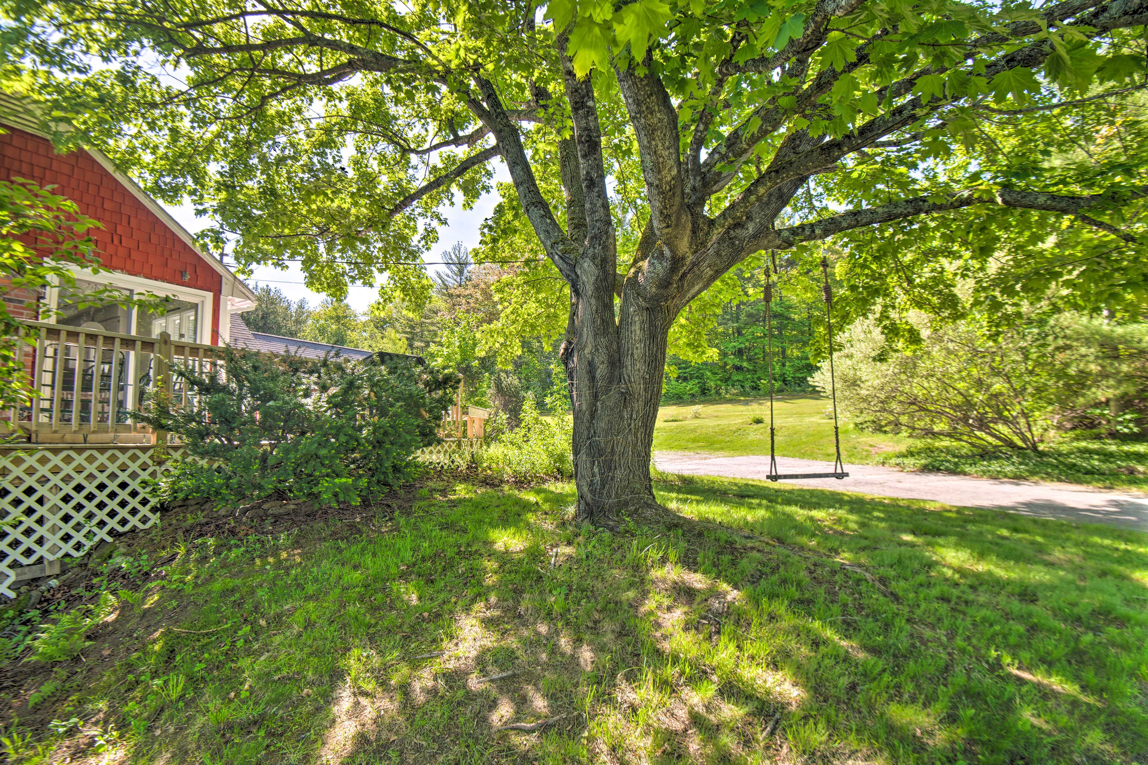Backyard | Tree Swing