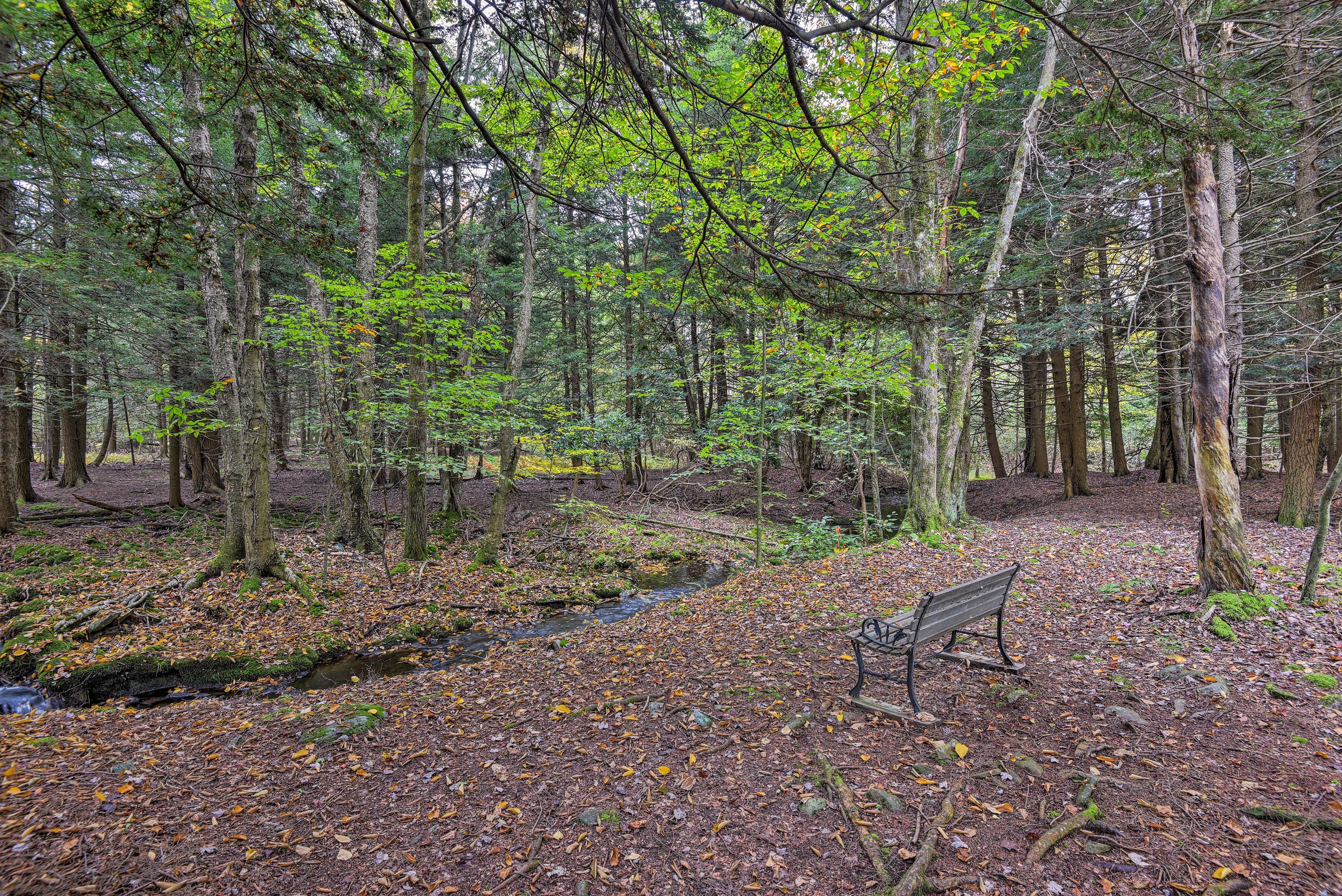 Just steps away from the cabin is a charming creek & bench for lounging!