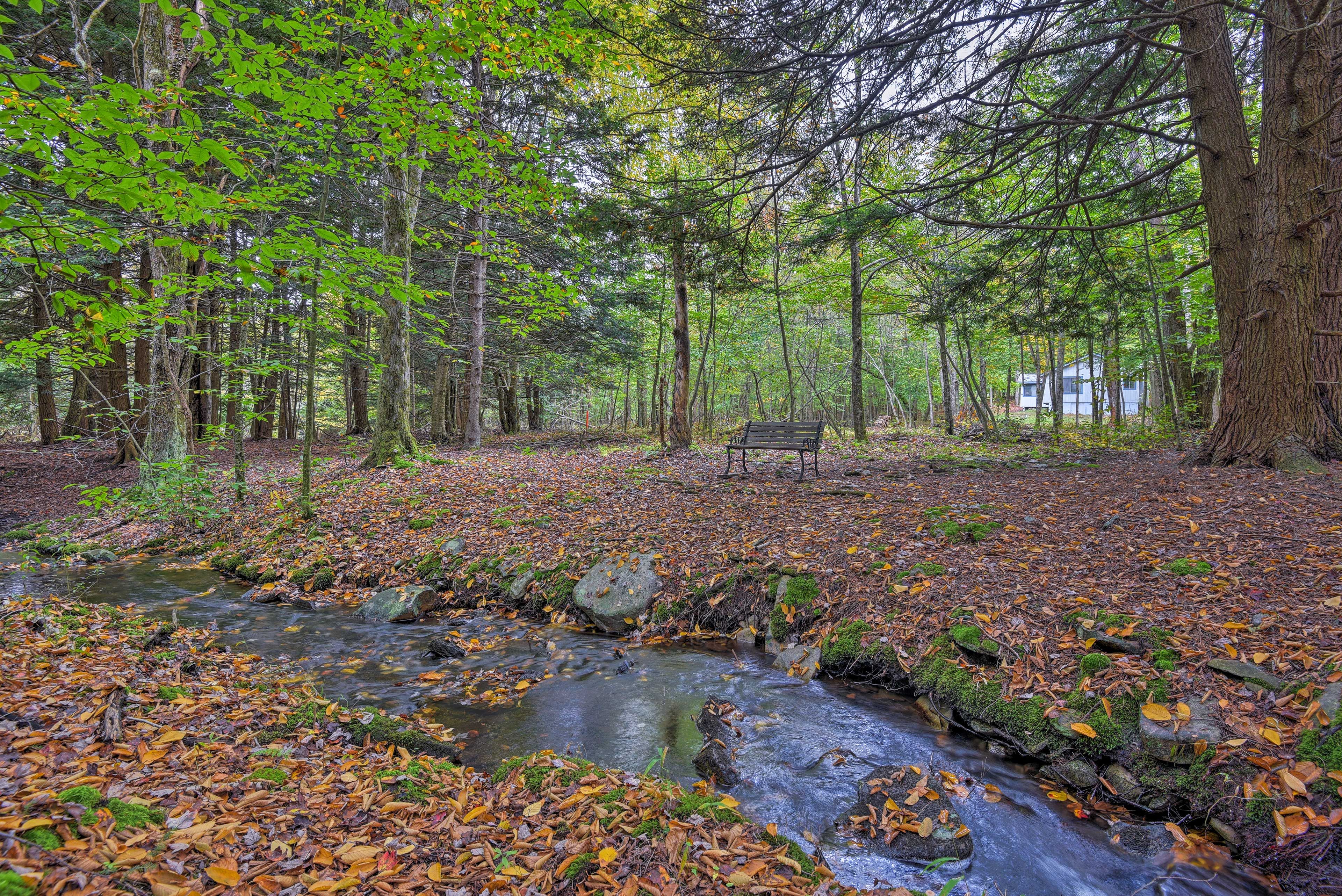 Situated in the Big Bass Lake community, you'll love lounging the nearby creek!