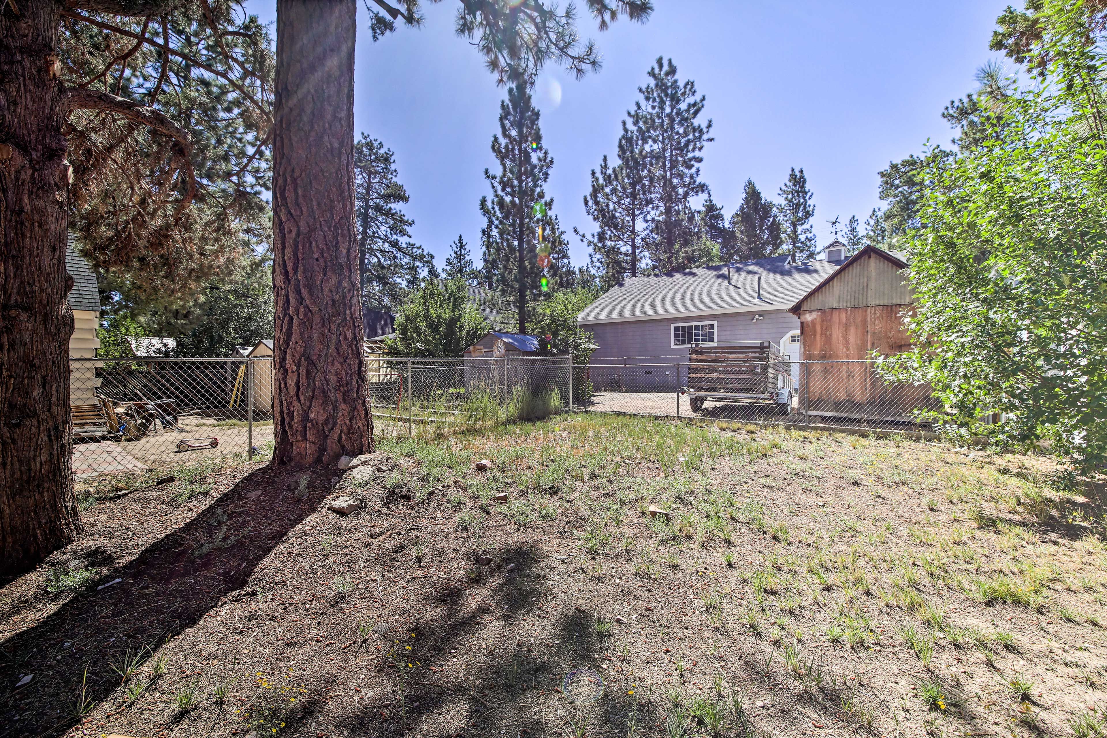 Backyard
