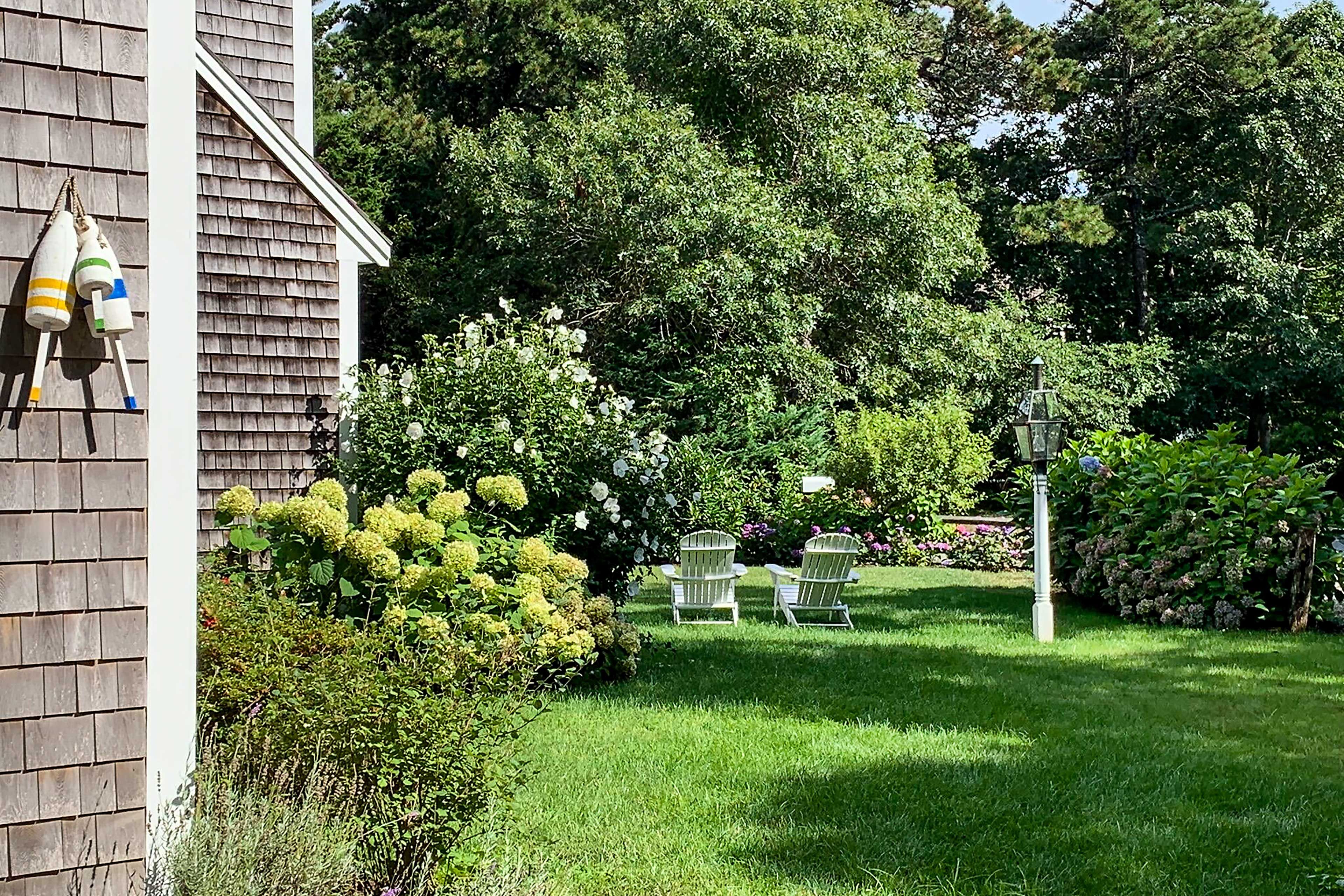 Spacious Yard