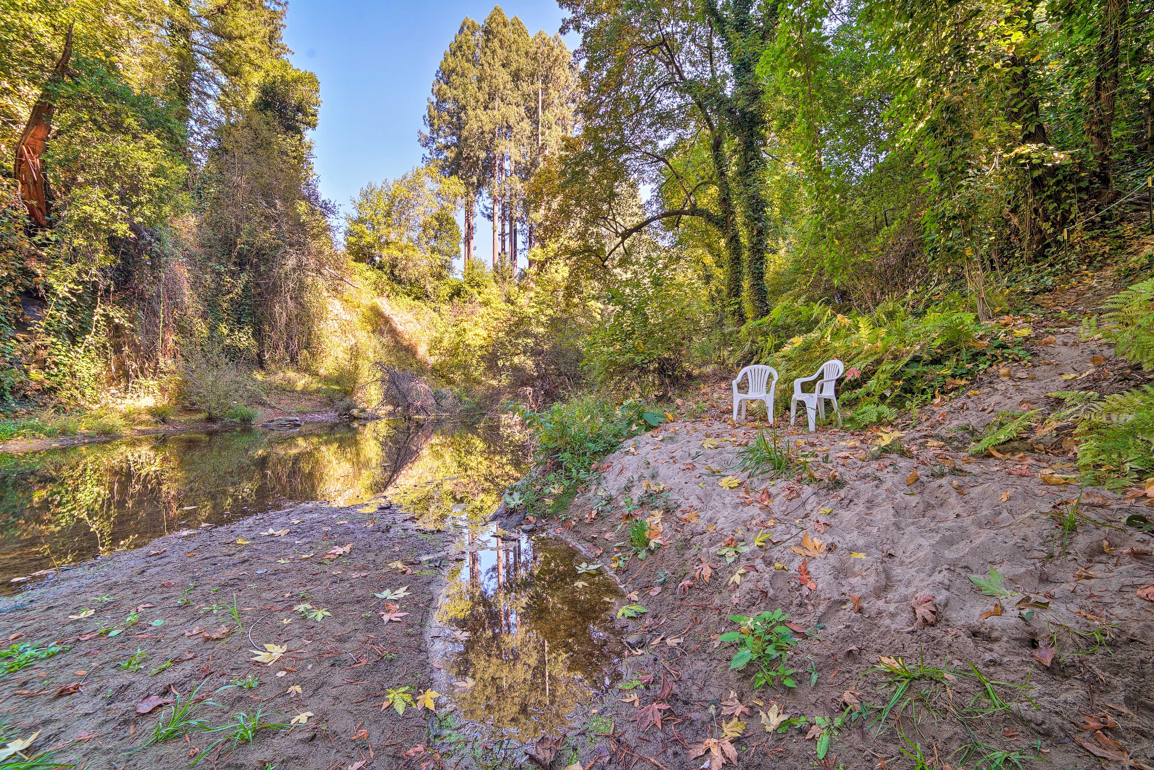 San Lorenzo River Access