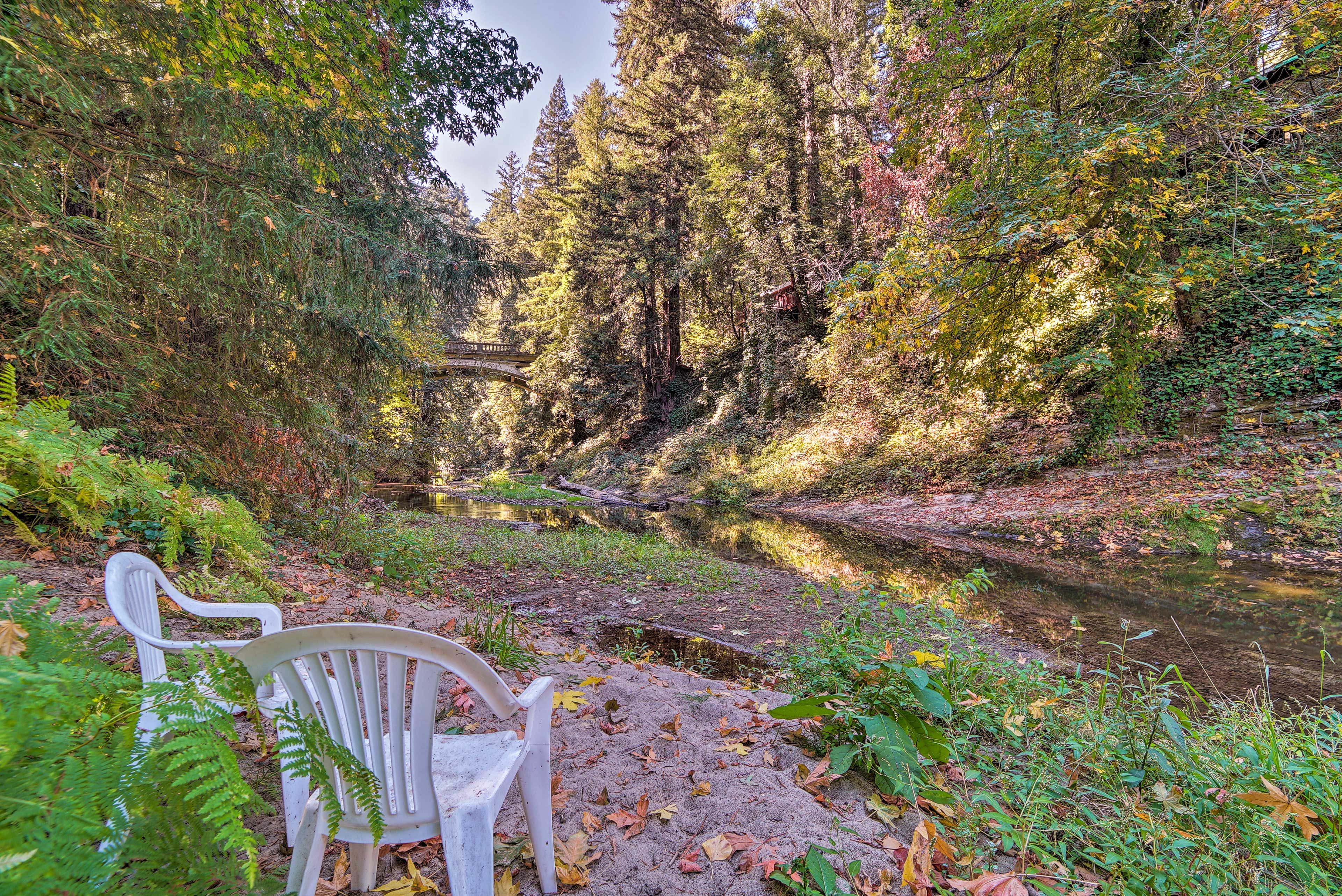 San Lorenzo River Access
