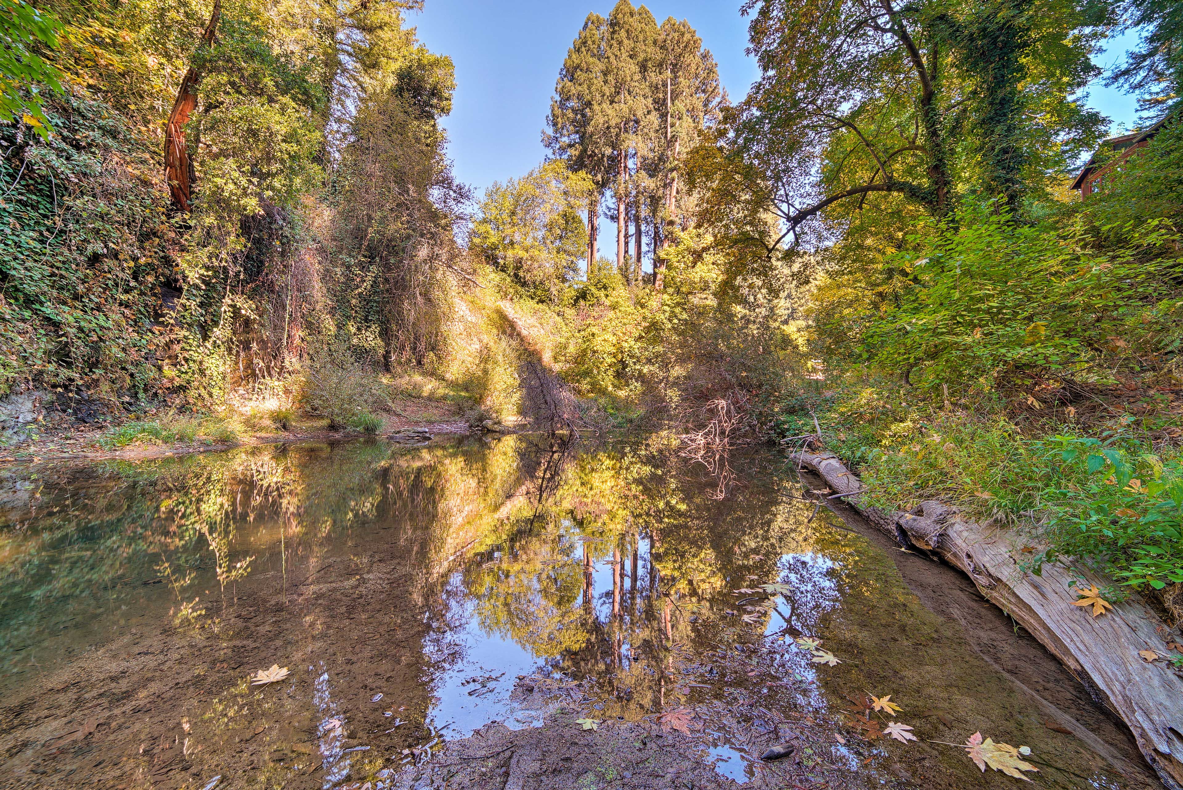 San Lorenzo River Access