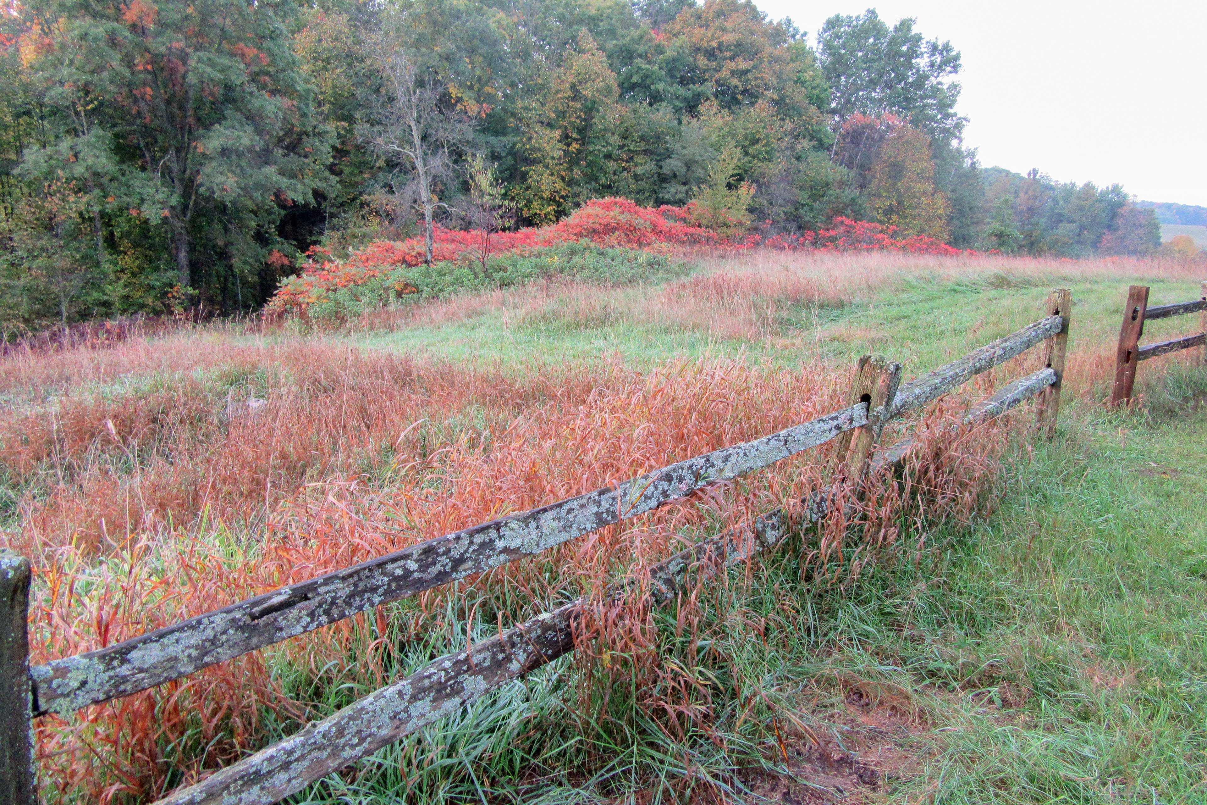 Fall colors make it even better.