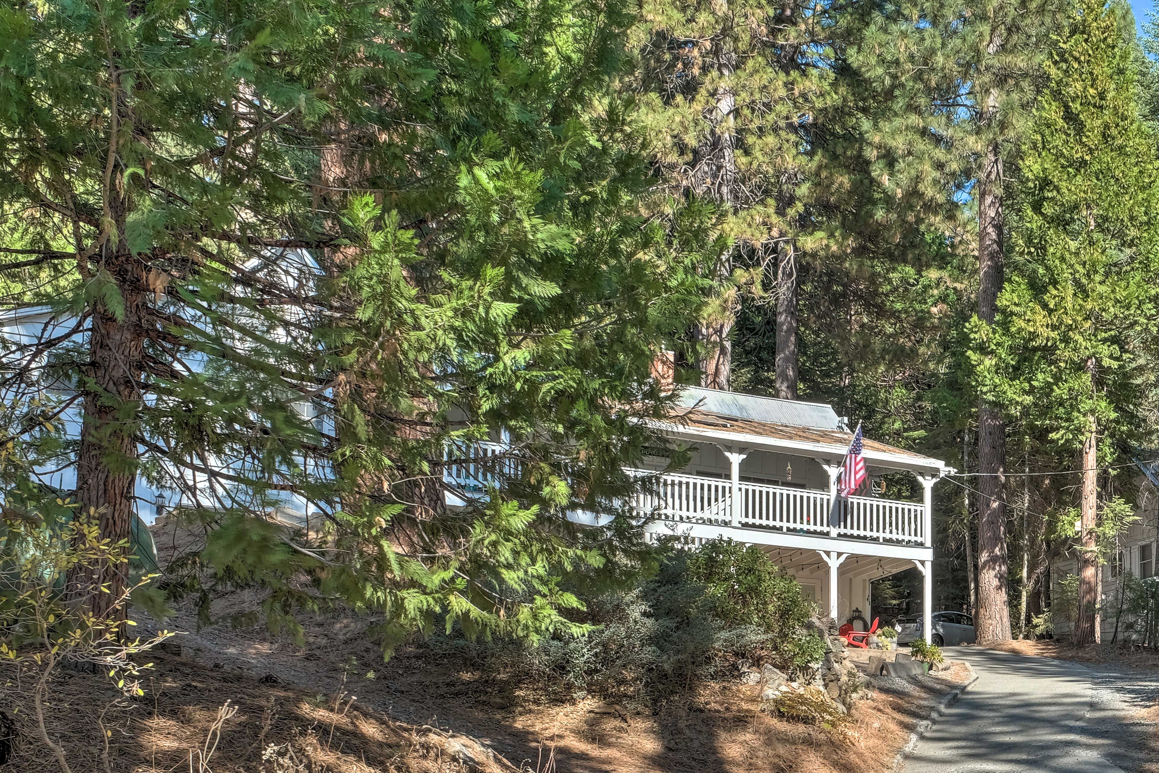 Cabin Exterior