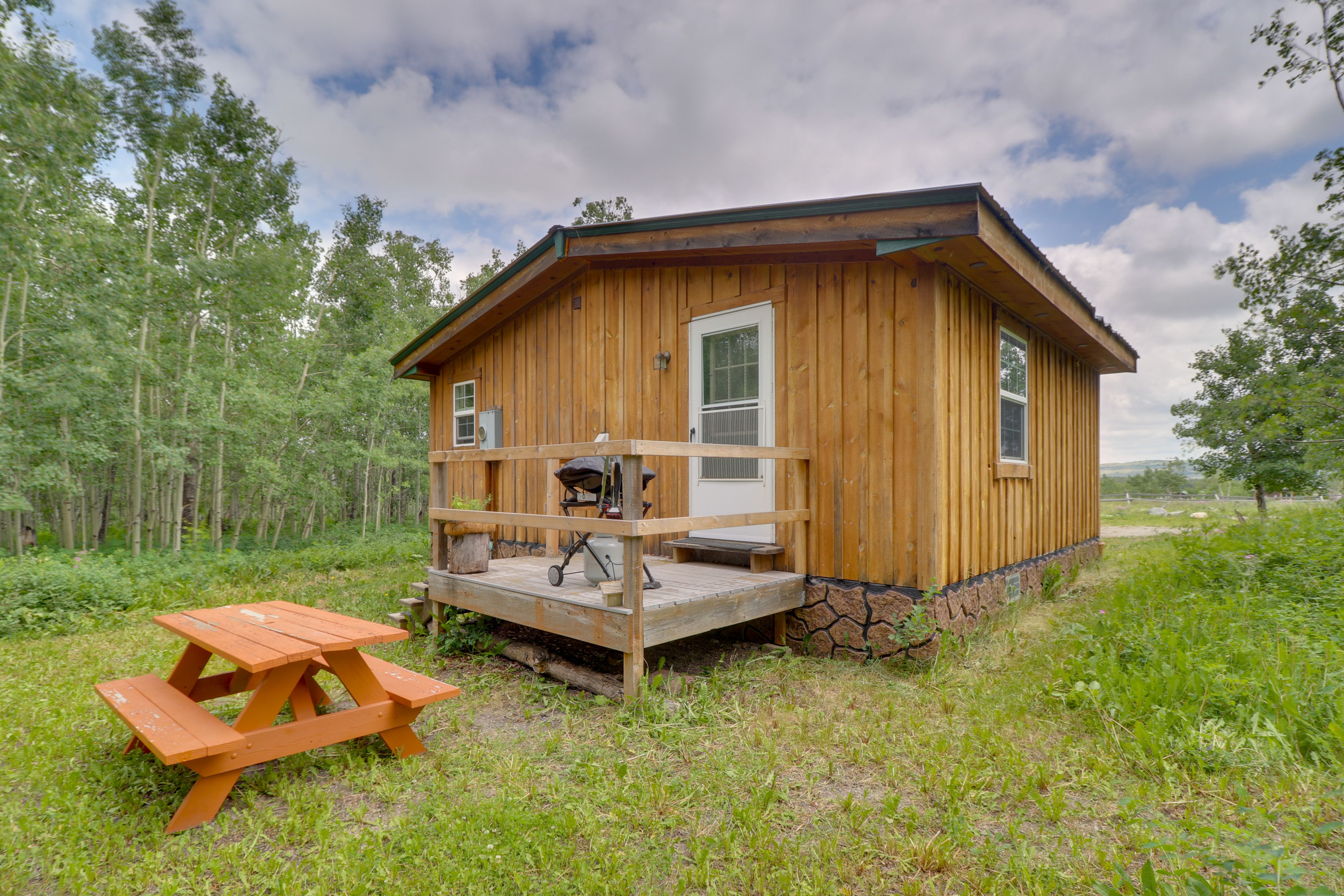 Yard | Picnic Table