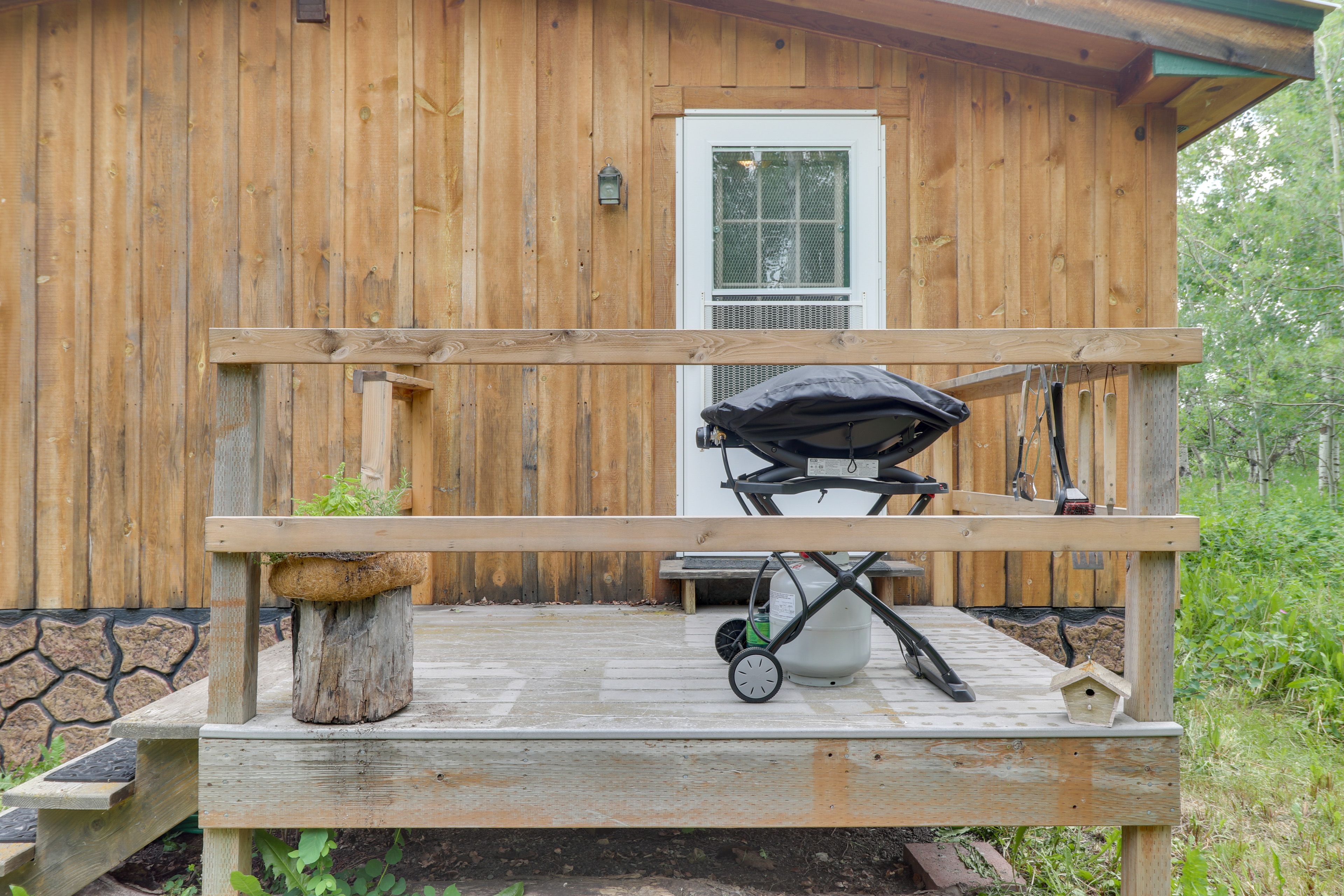 Back Deck