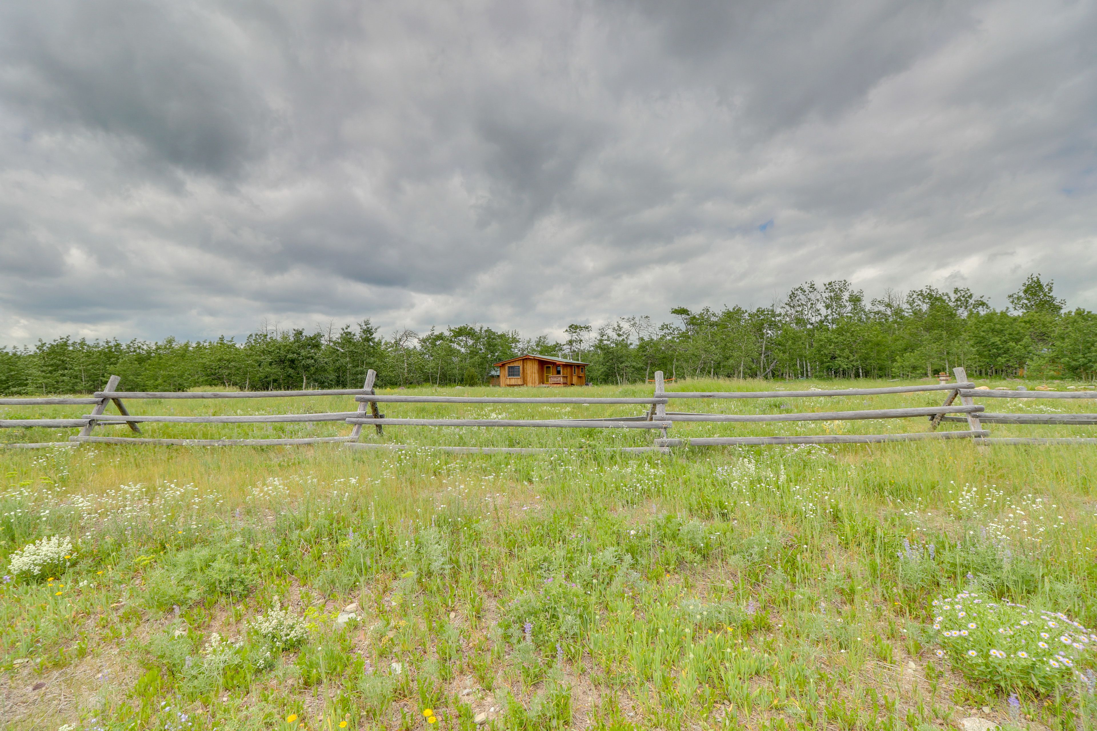 Image 29