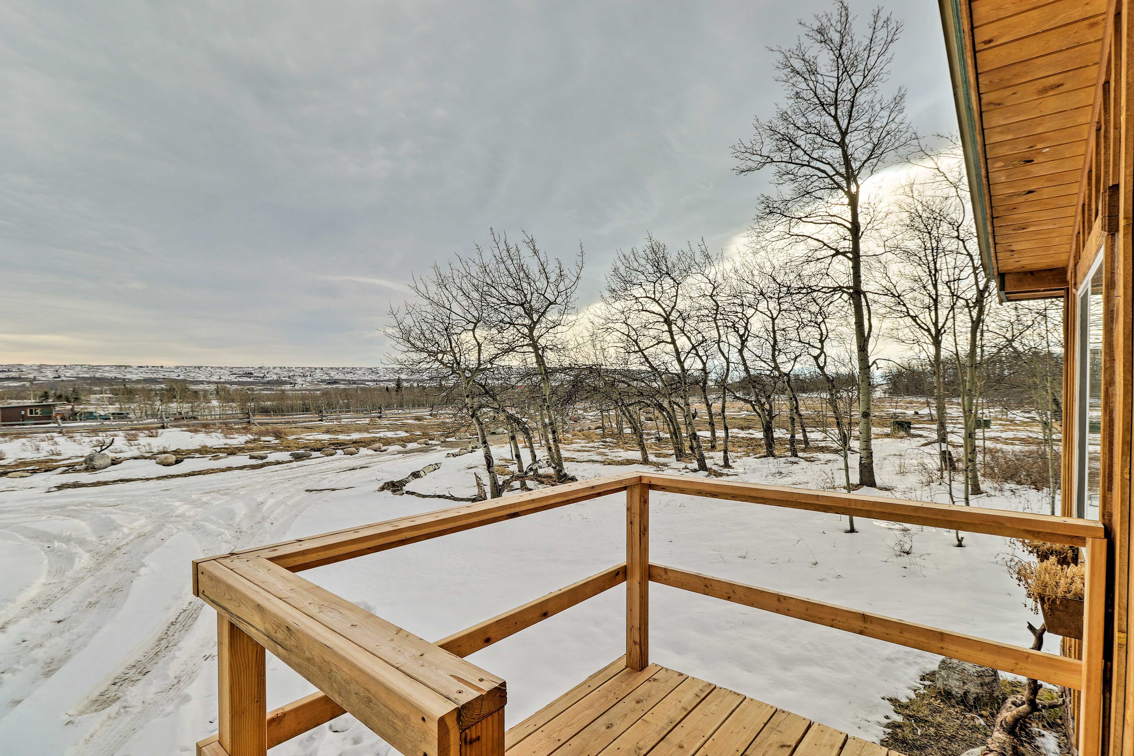 Porch Views | Winter