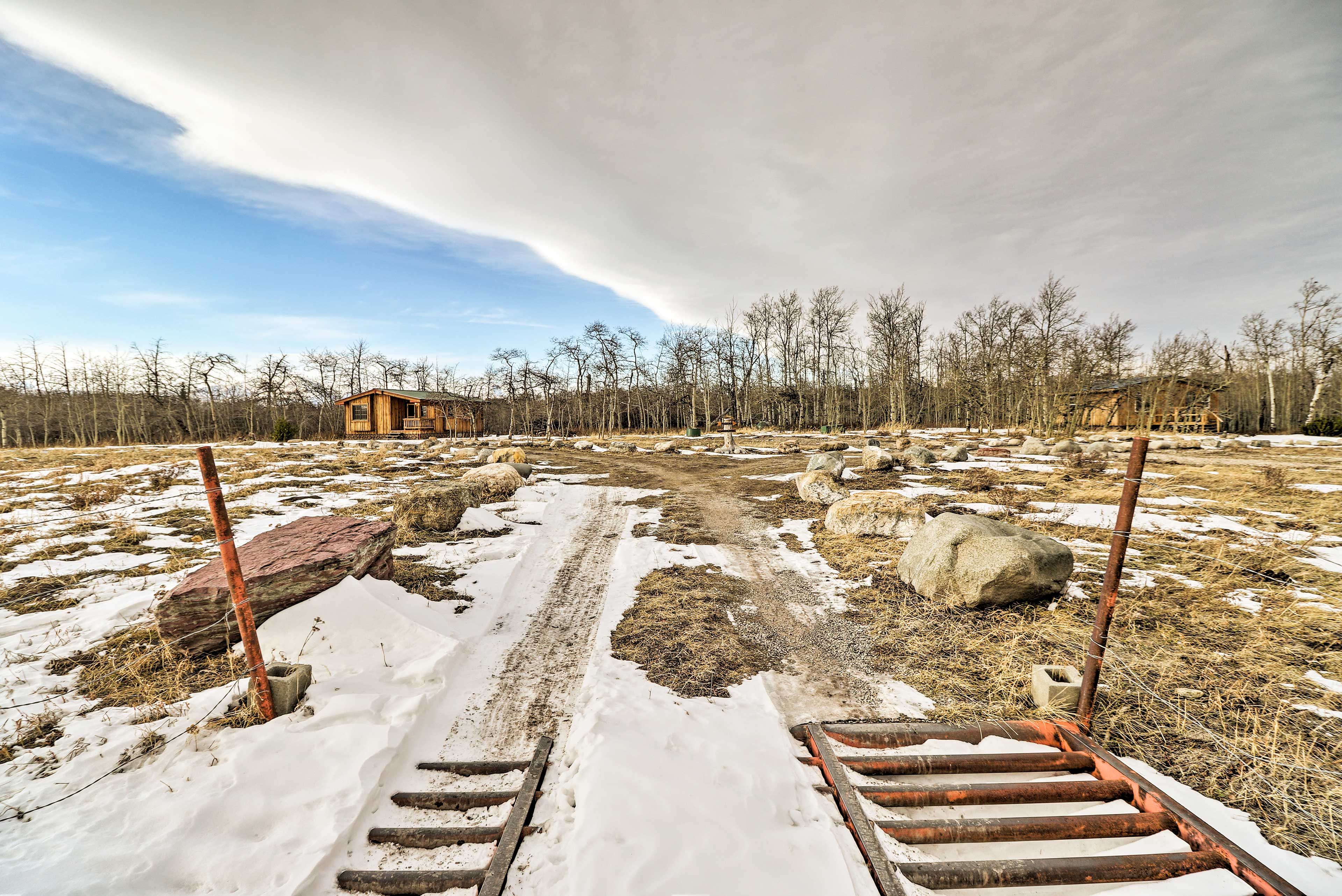 Surrounding Views | Winter