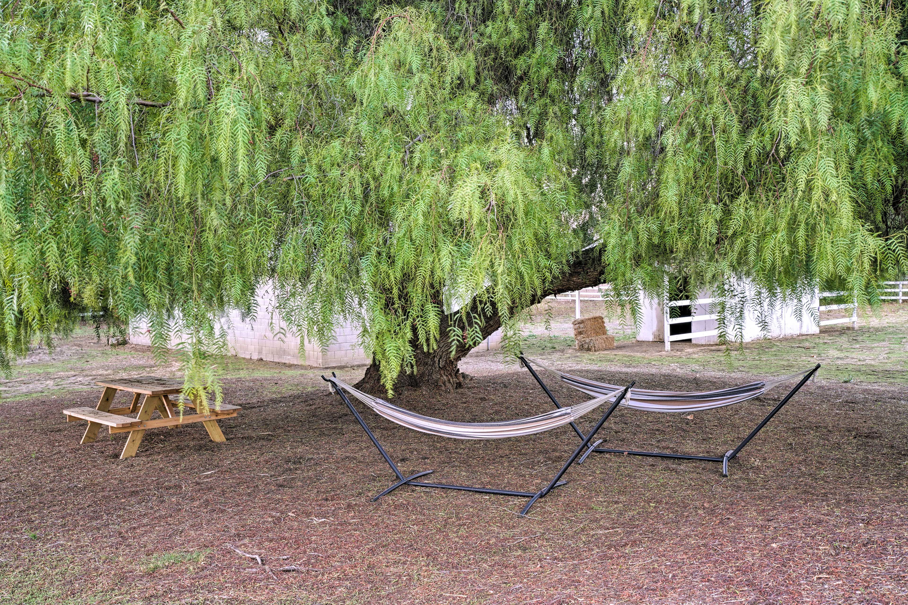 Image 34