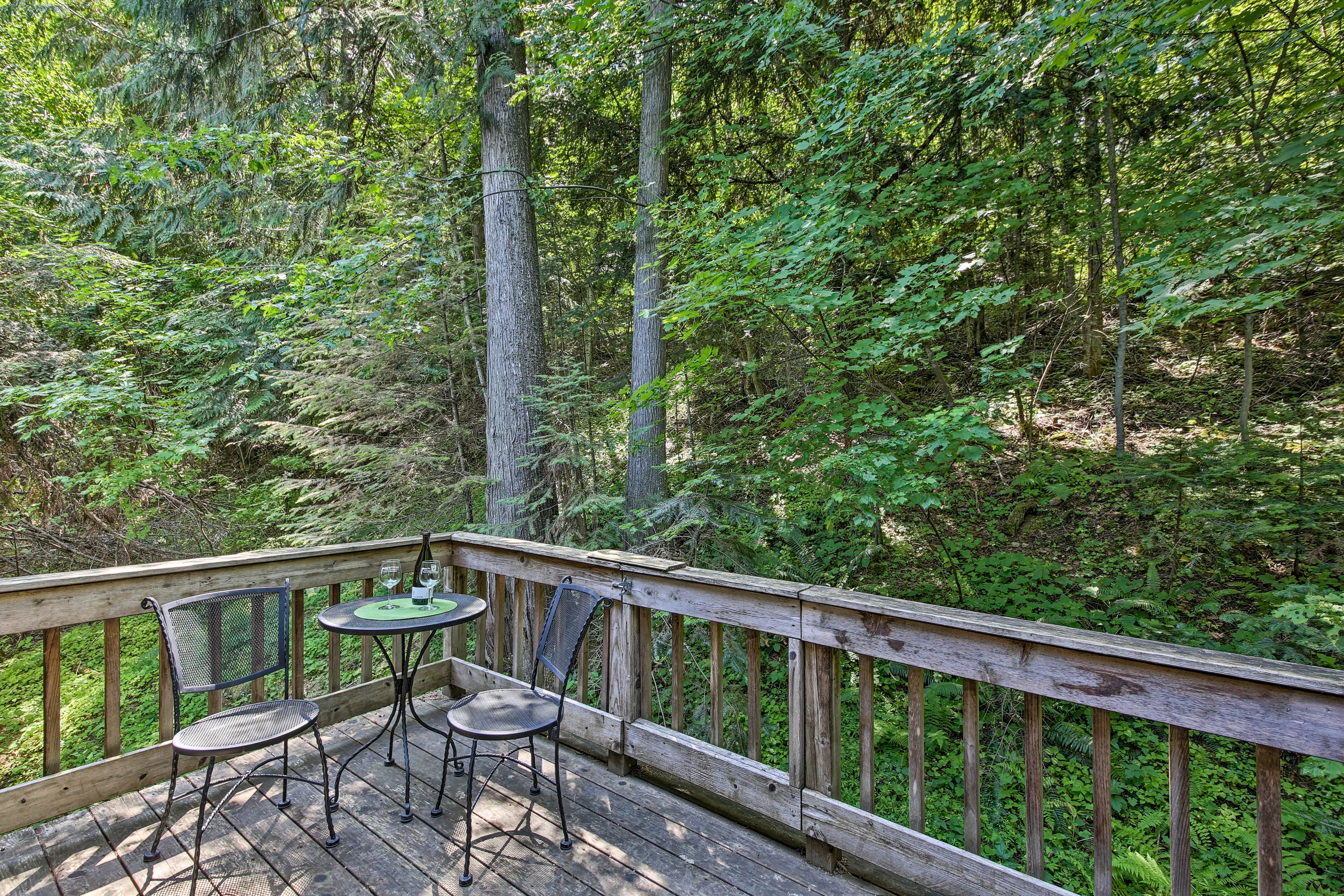 Toast to your private, wooded and waterfront getaway!