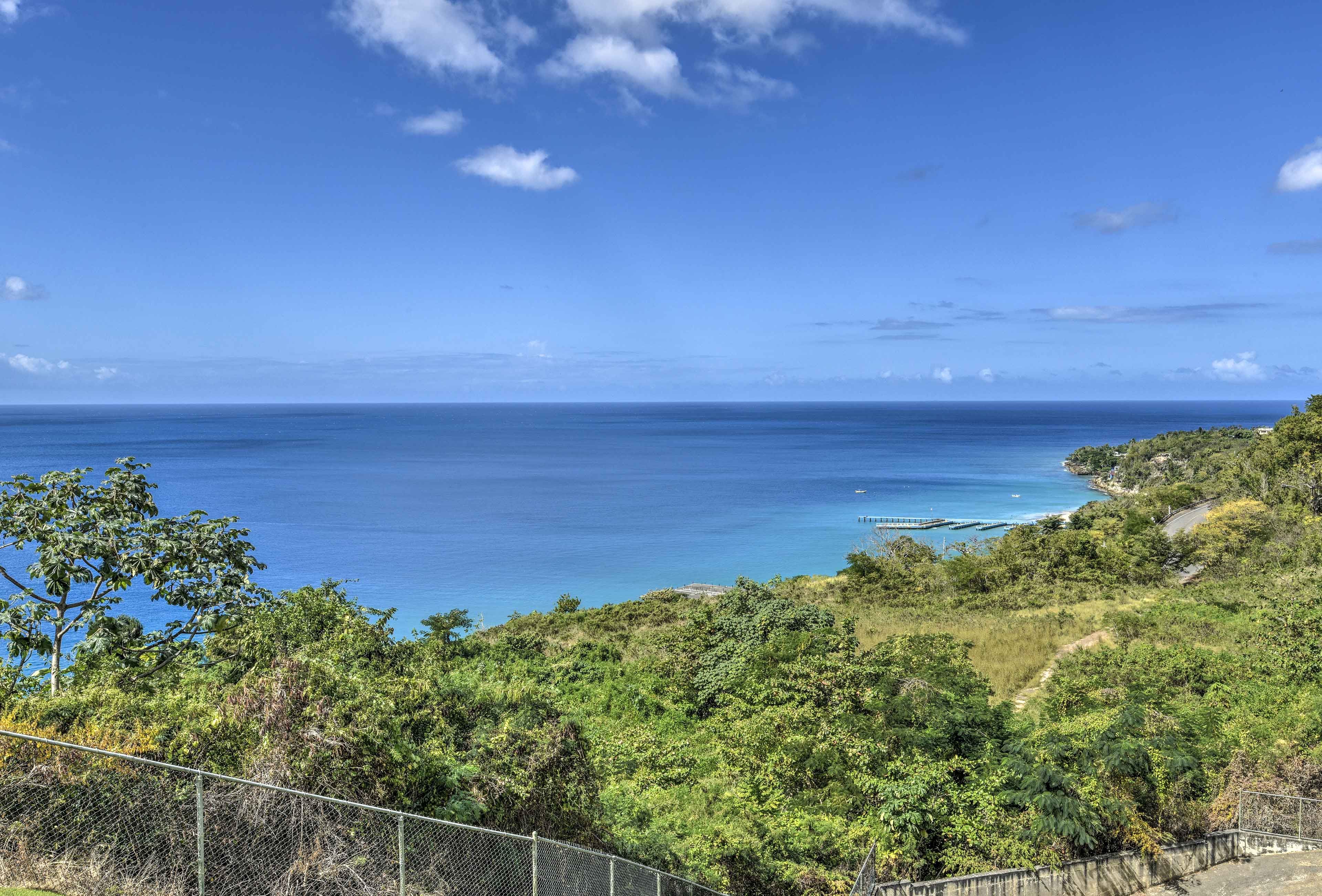 Life is better when your view is a sea of green and blue!
