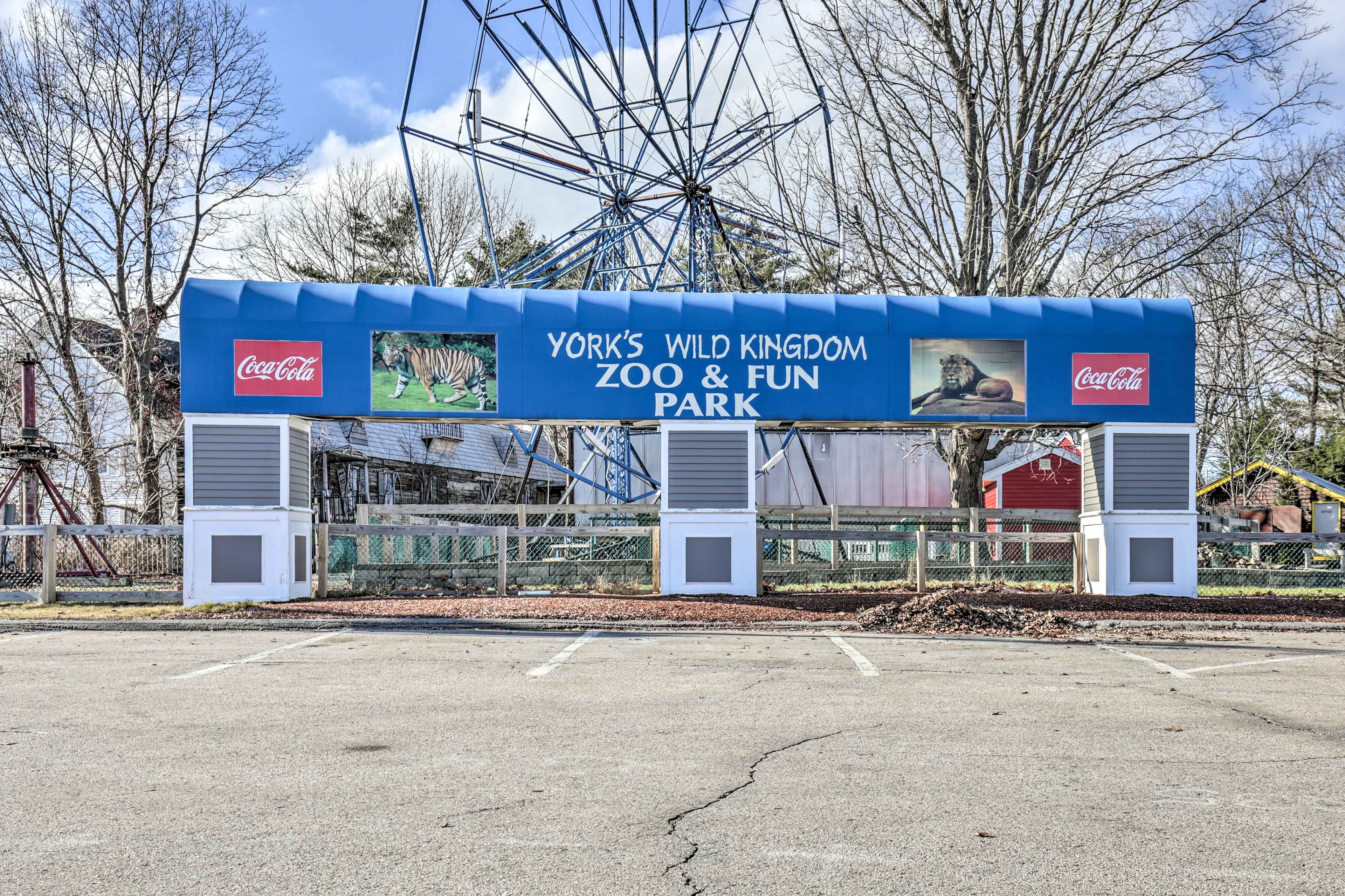 Nearby Attractions