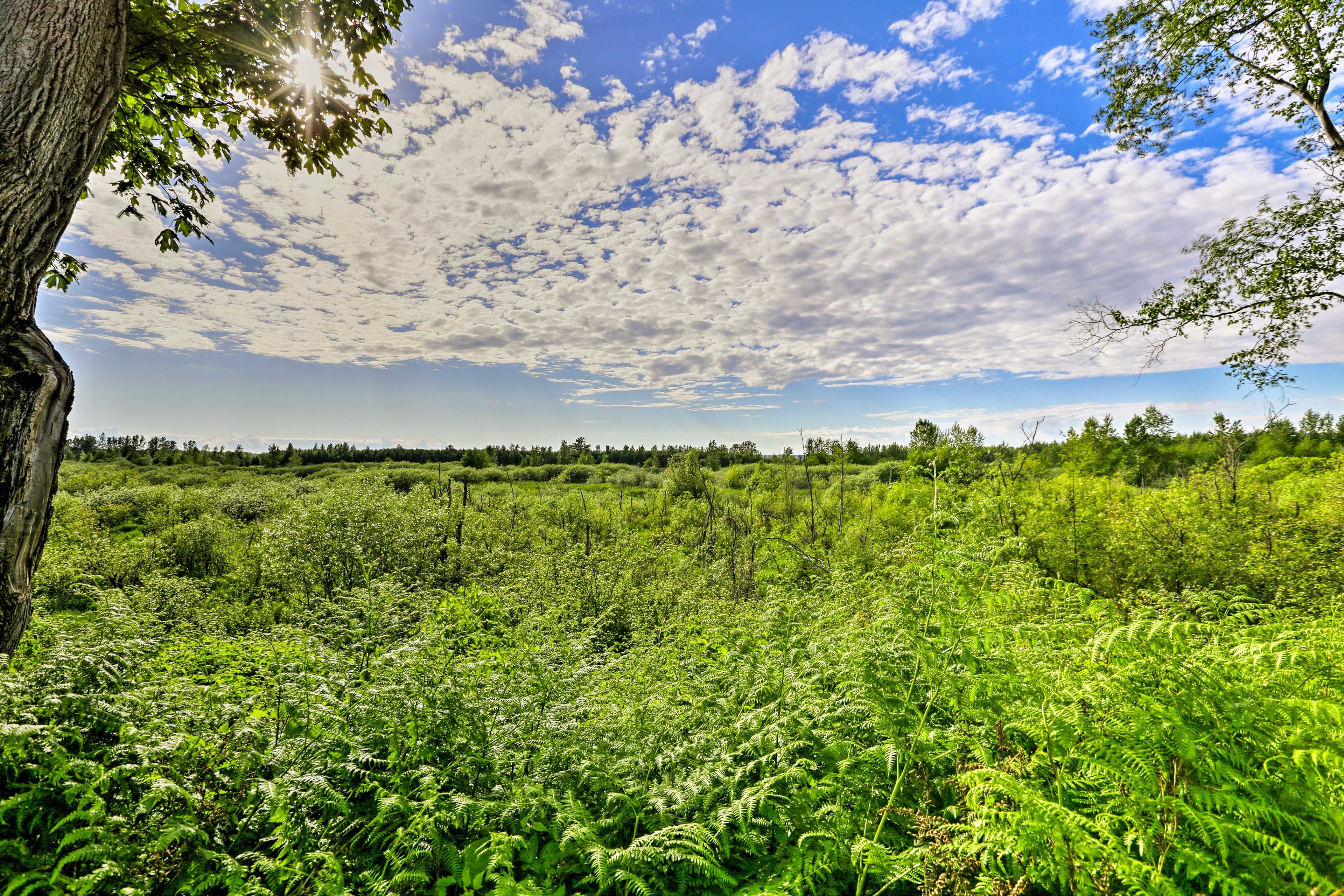 This Bellingham home is minutes from hiking, fishing and scenic drives!
