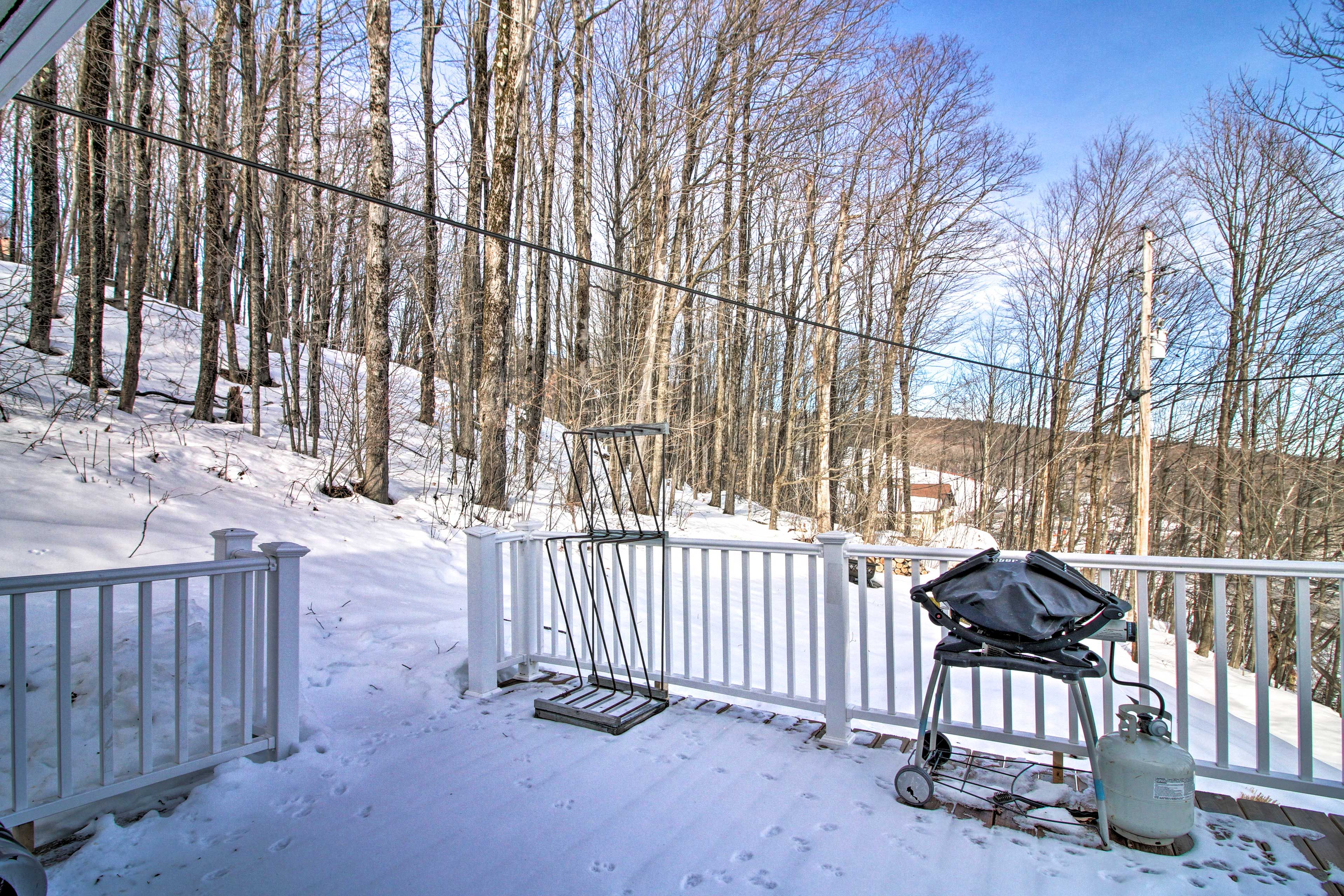 Deck (Winter)
