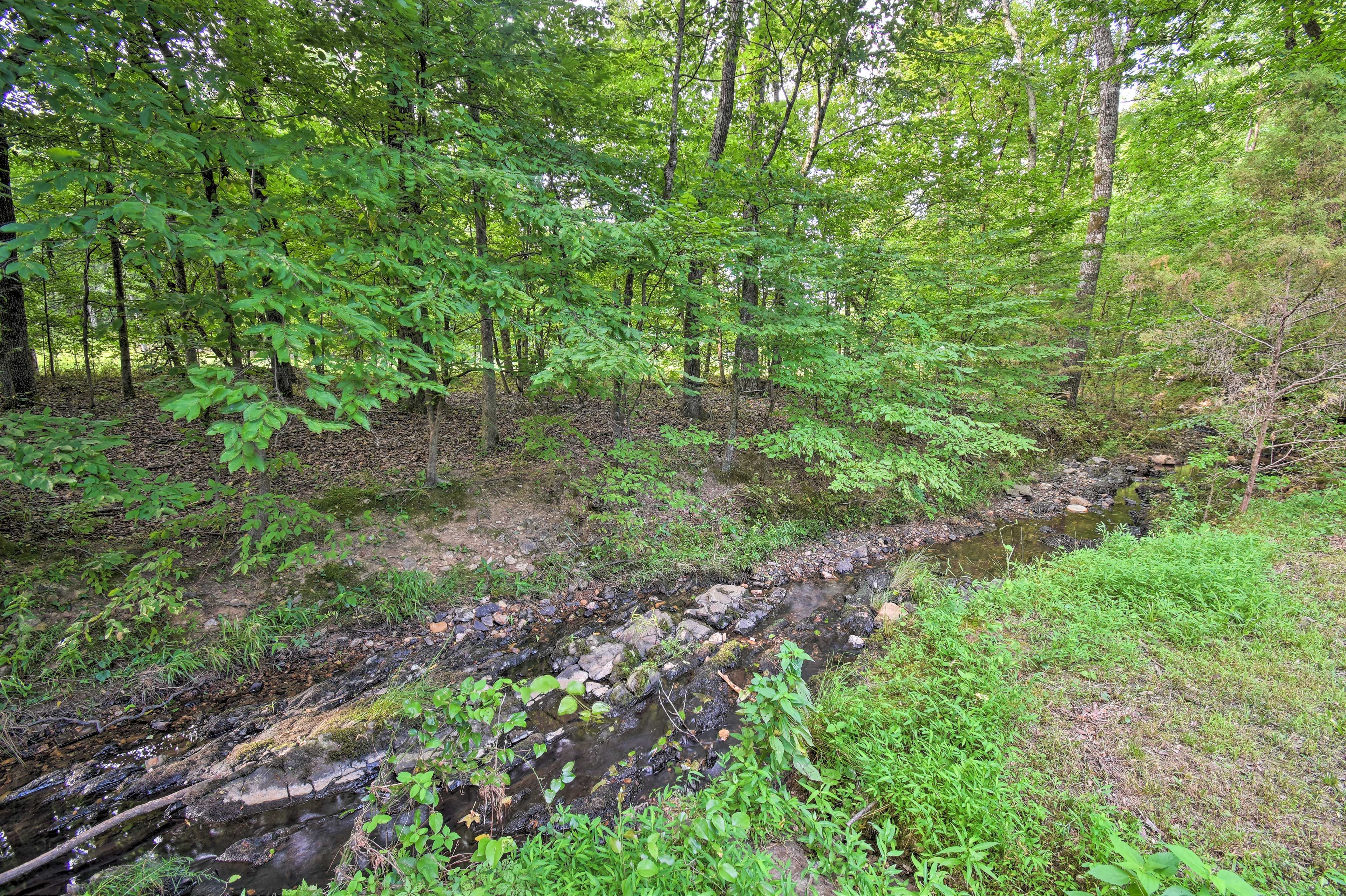 Stream