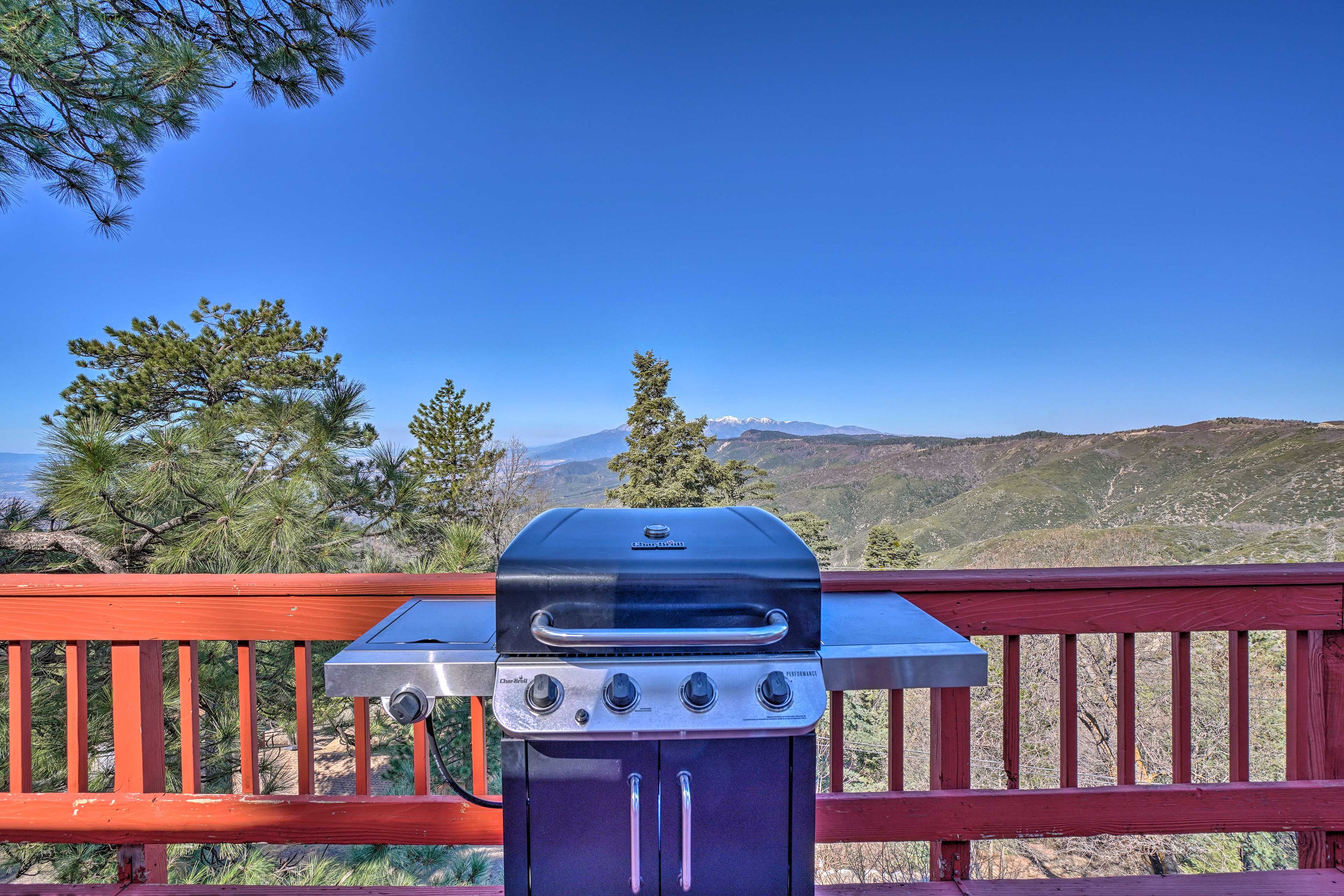 Can you imagine a better view while barbecueing on the gas grill?