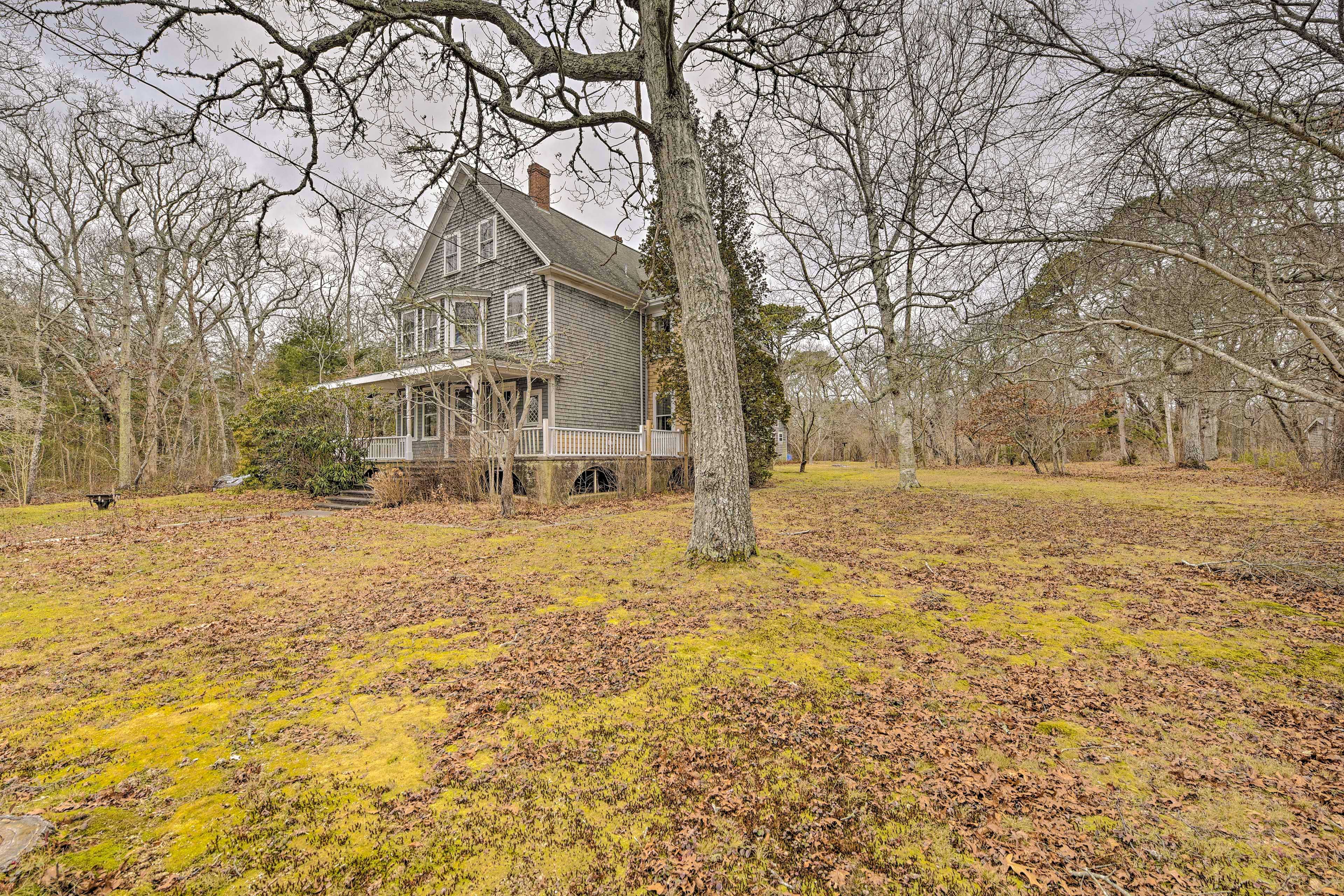Spacious Shared Yard