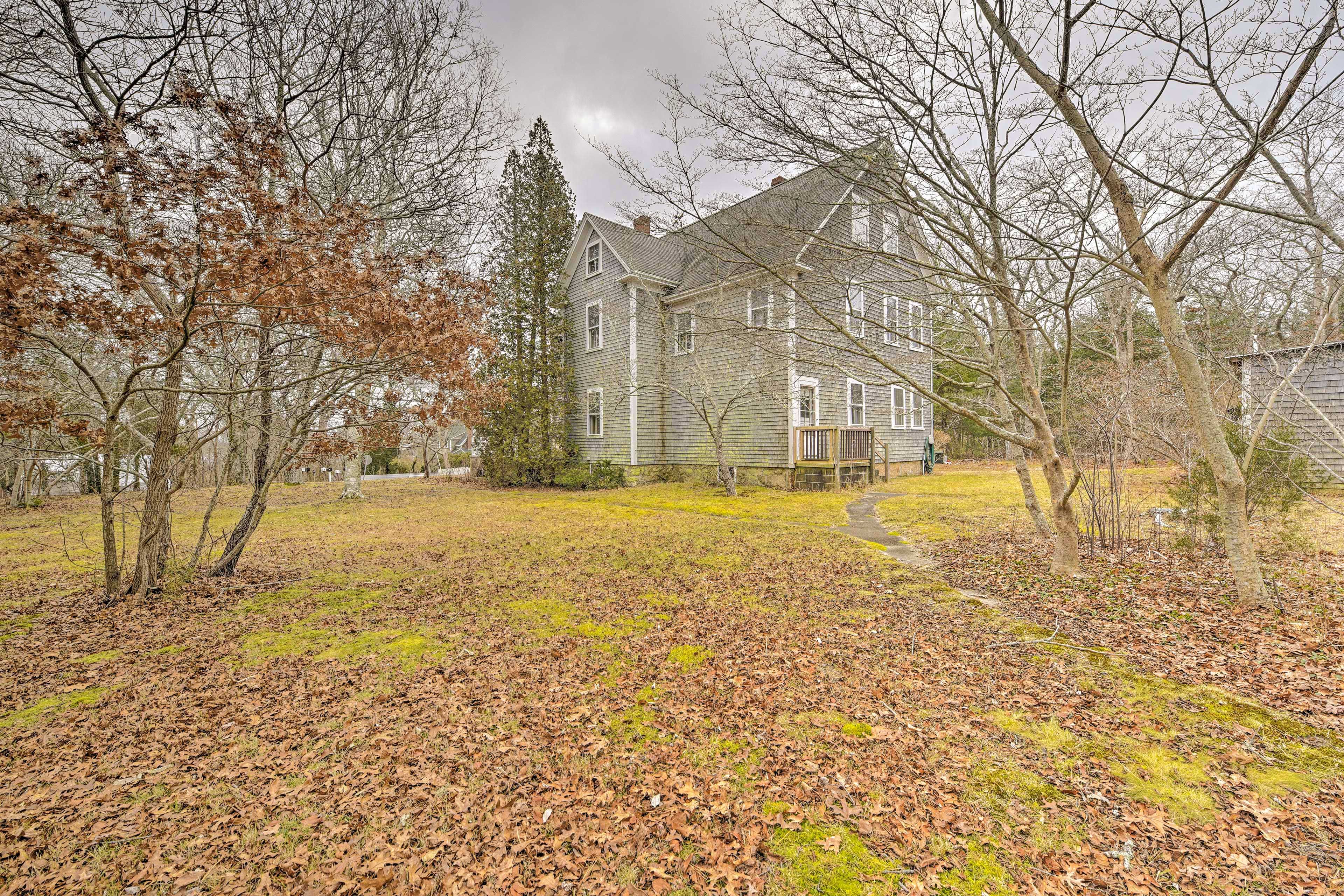 Image 25