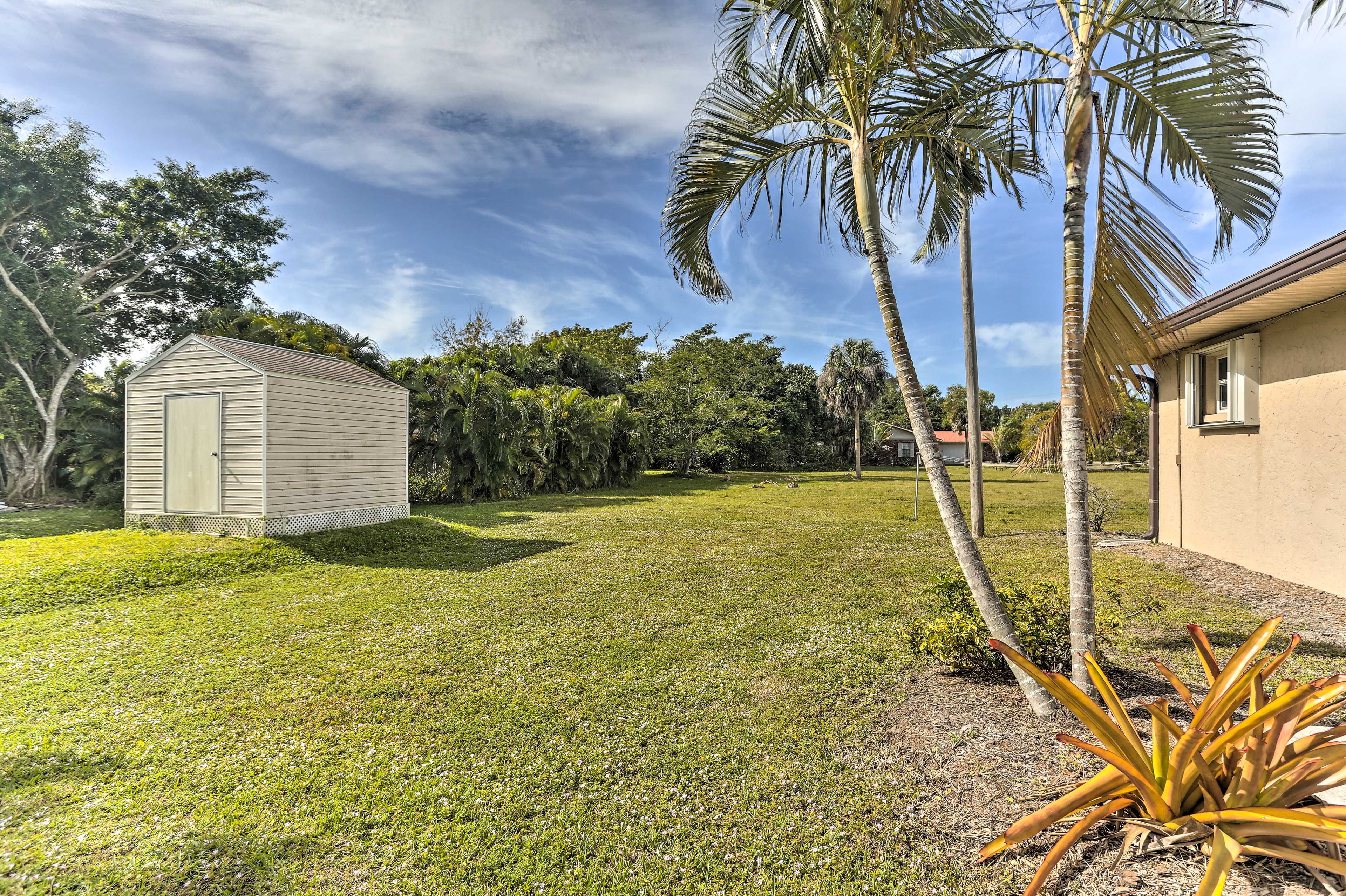 Backyard