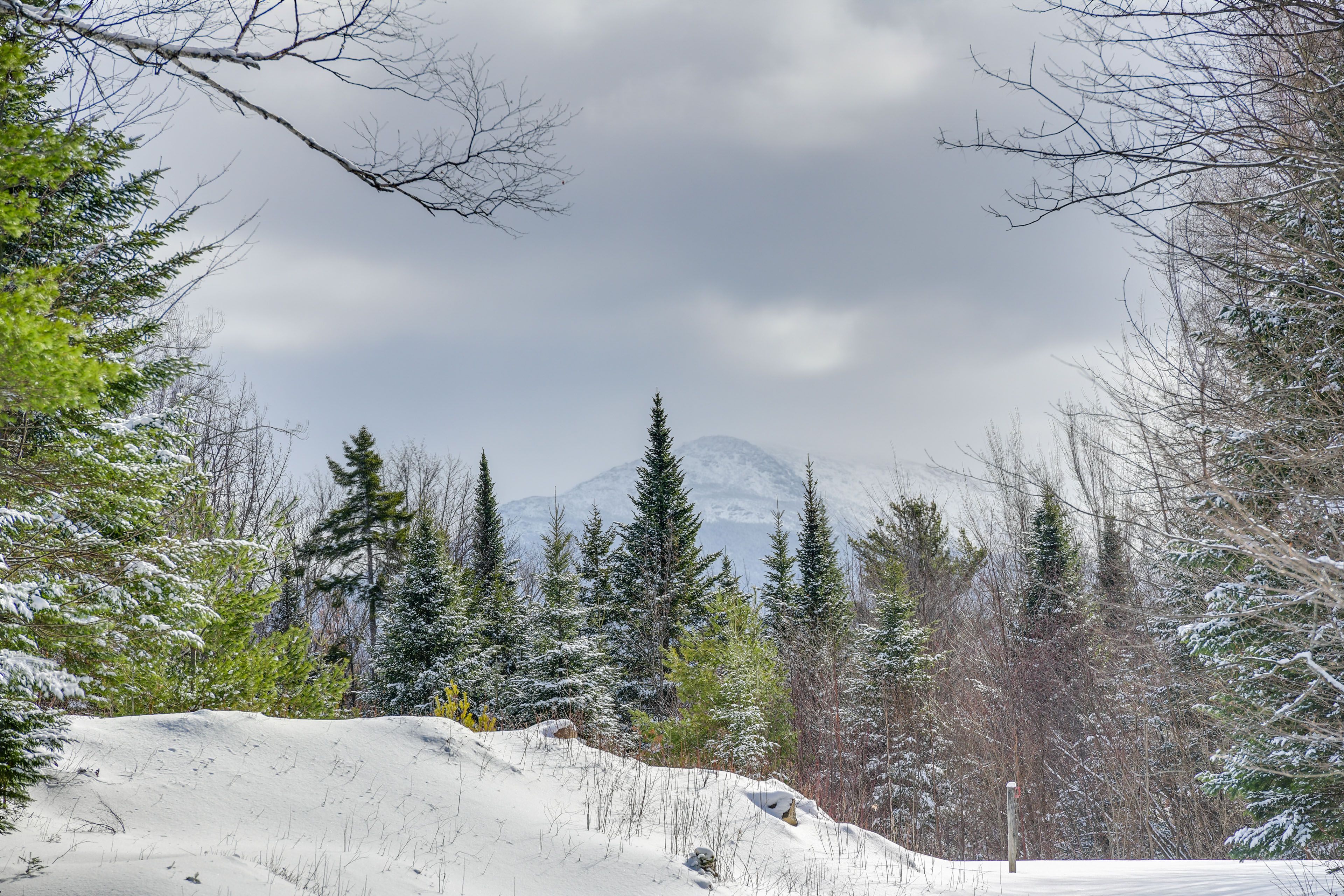 Winter Views & Exterior