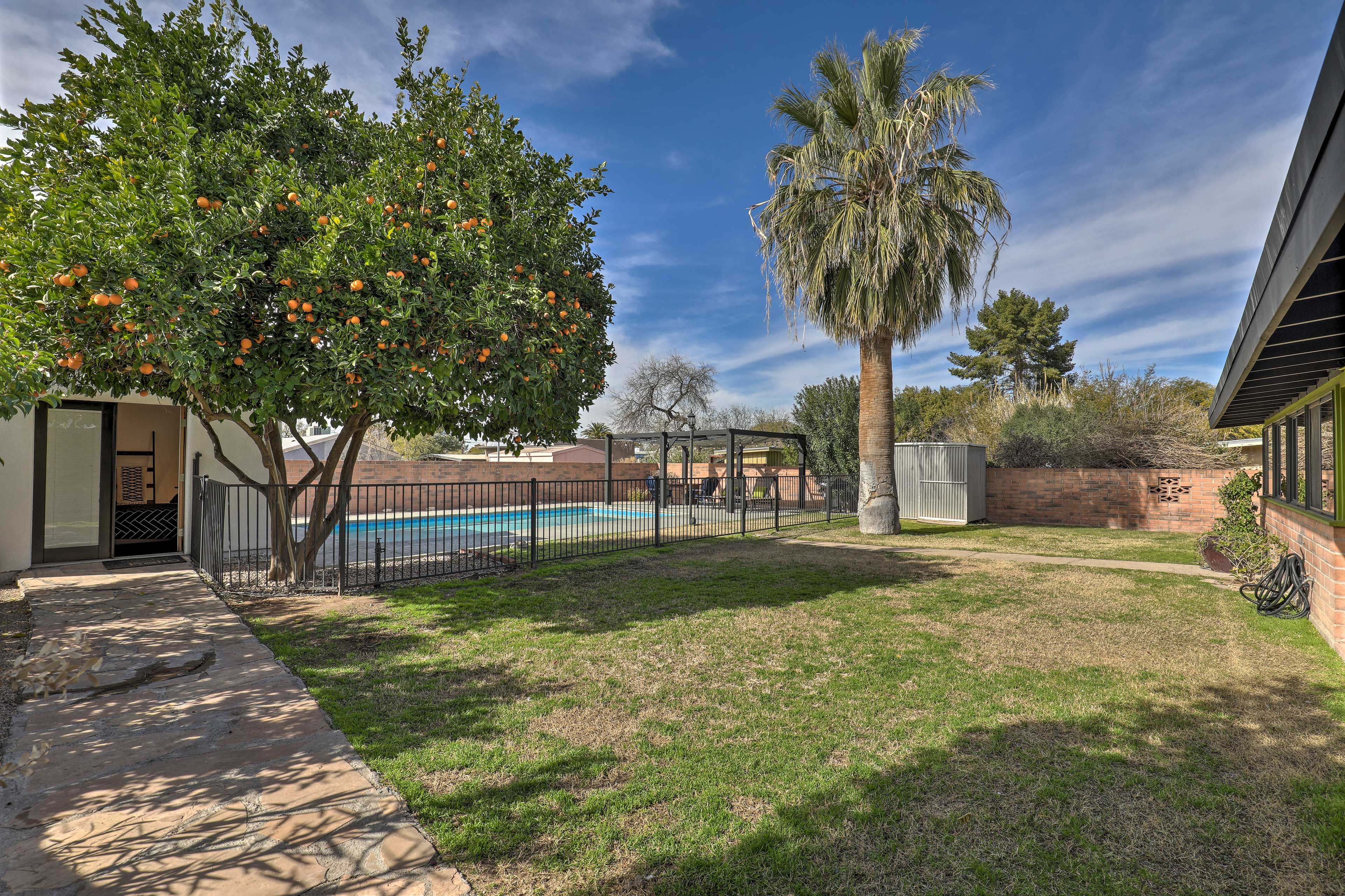 Private Backyard | Detached Casita