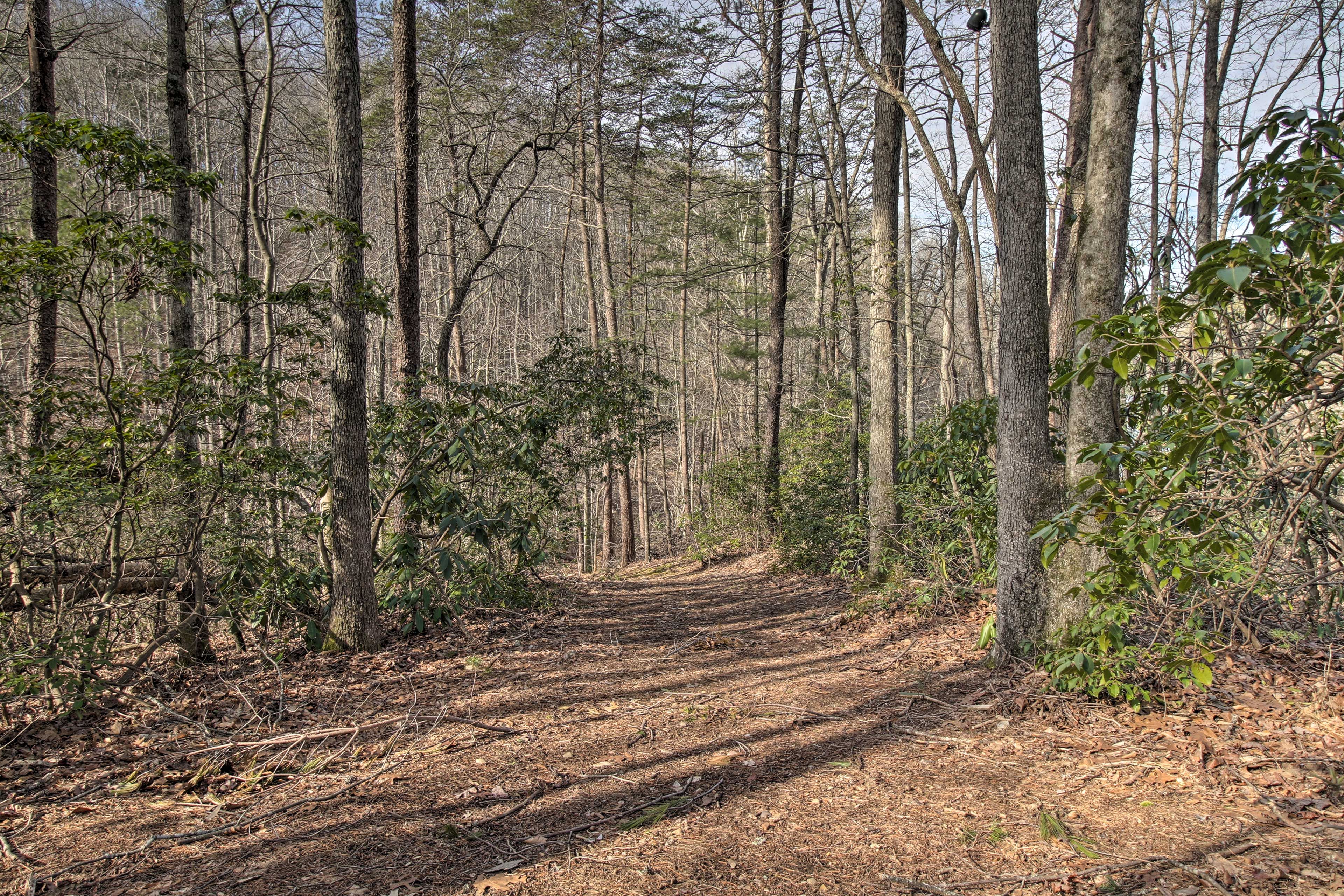 Walking Trails
