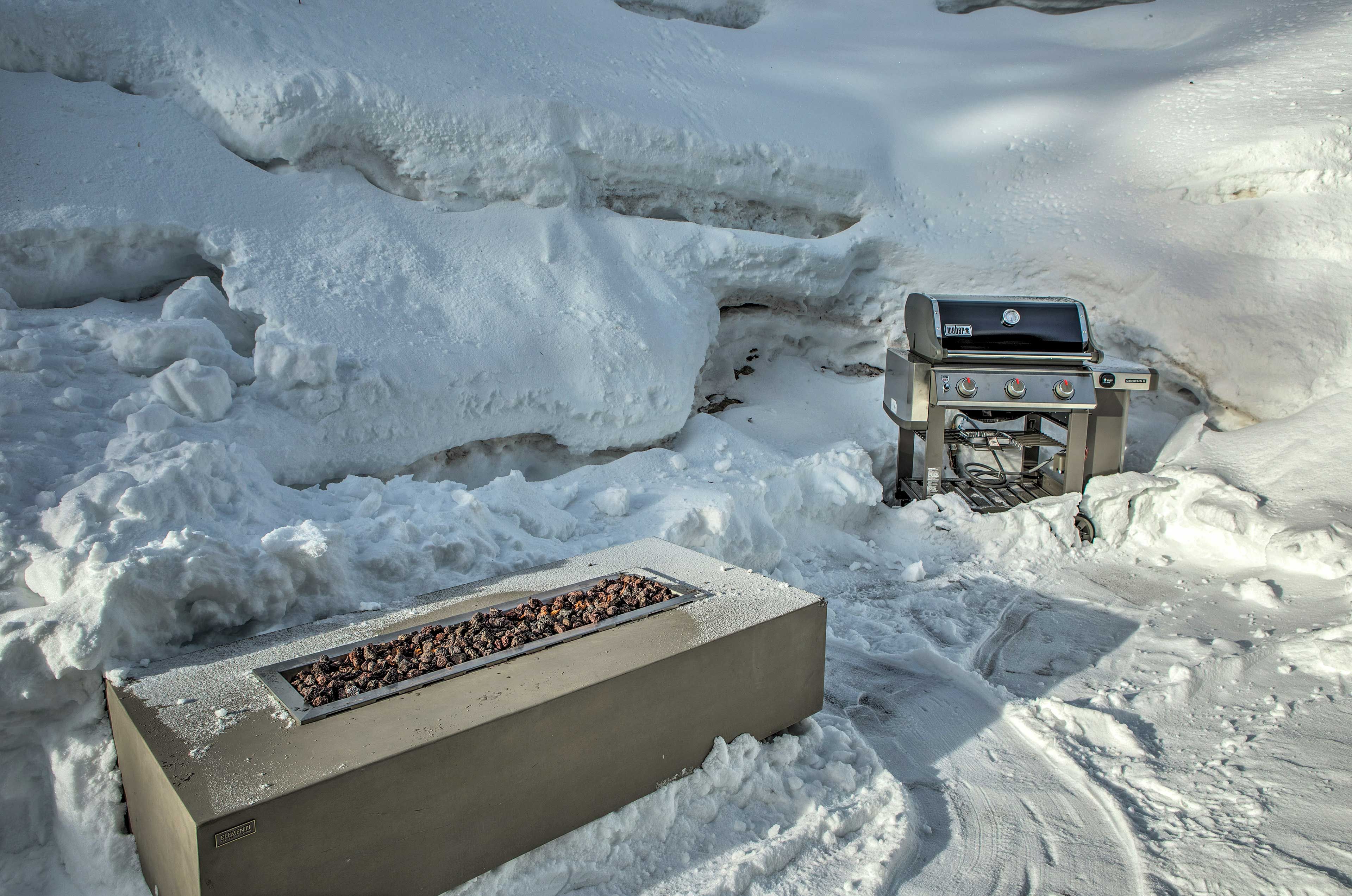Outdoor Fire Pit & Gas Grill