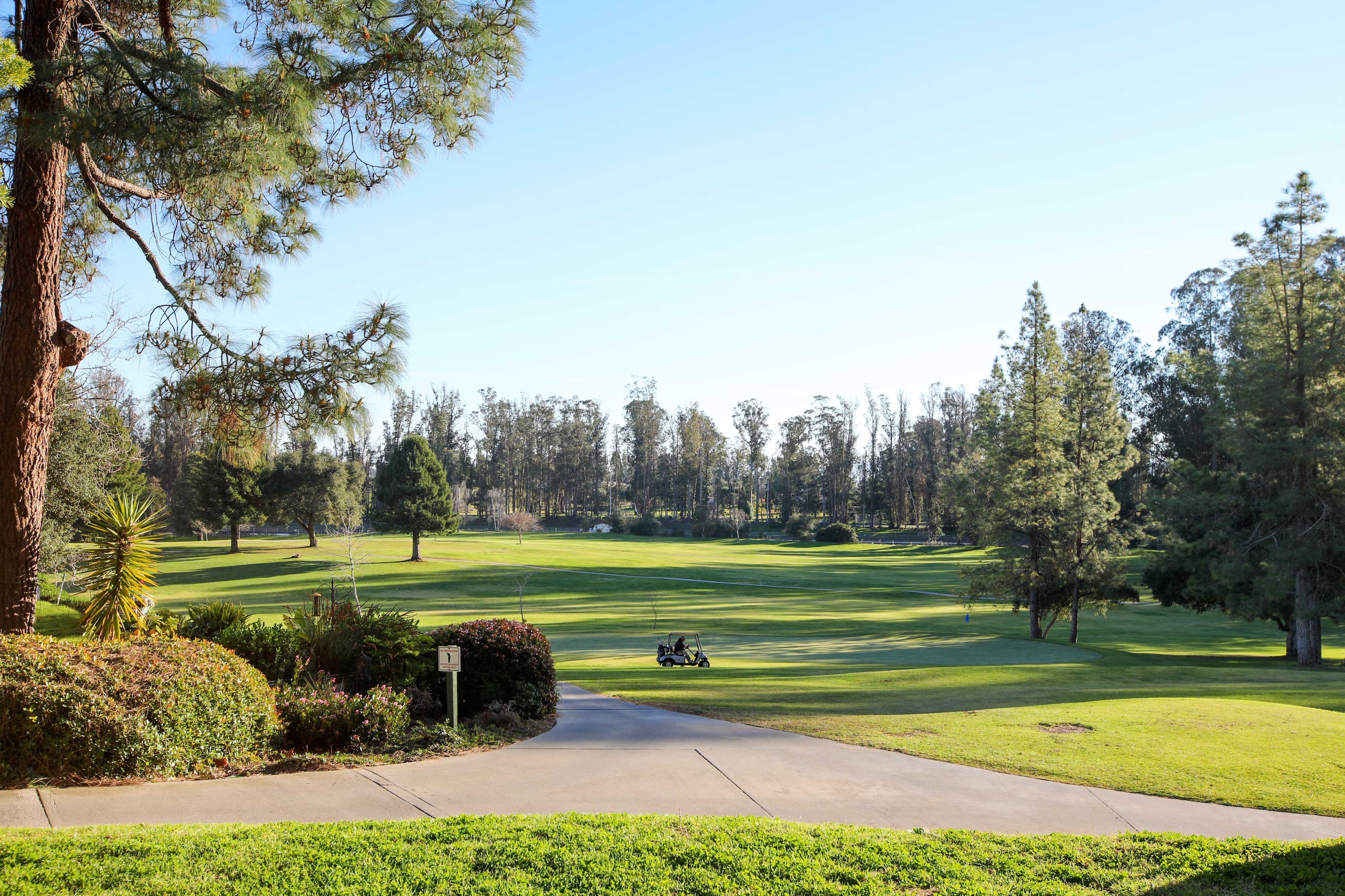 Play a few rounds of golf!