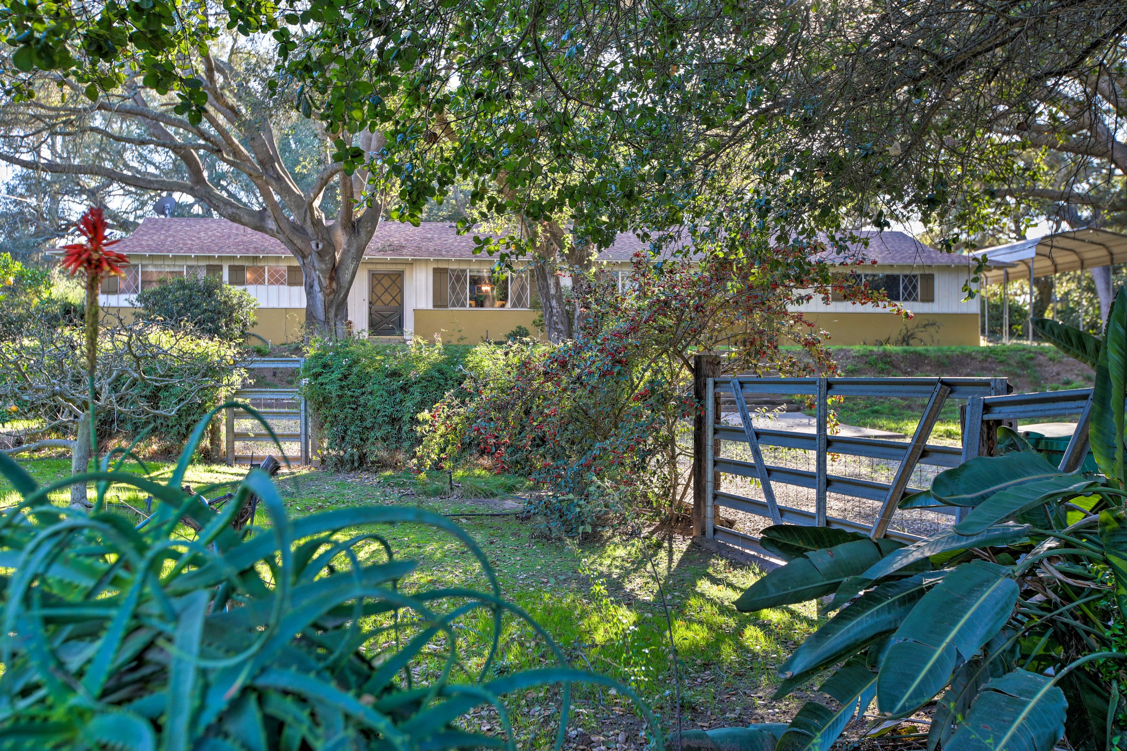 Wander around the lush property.