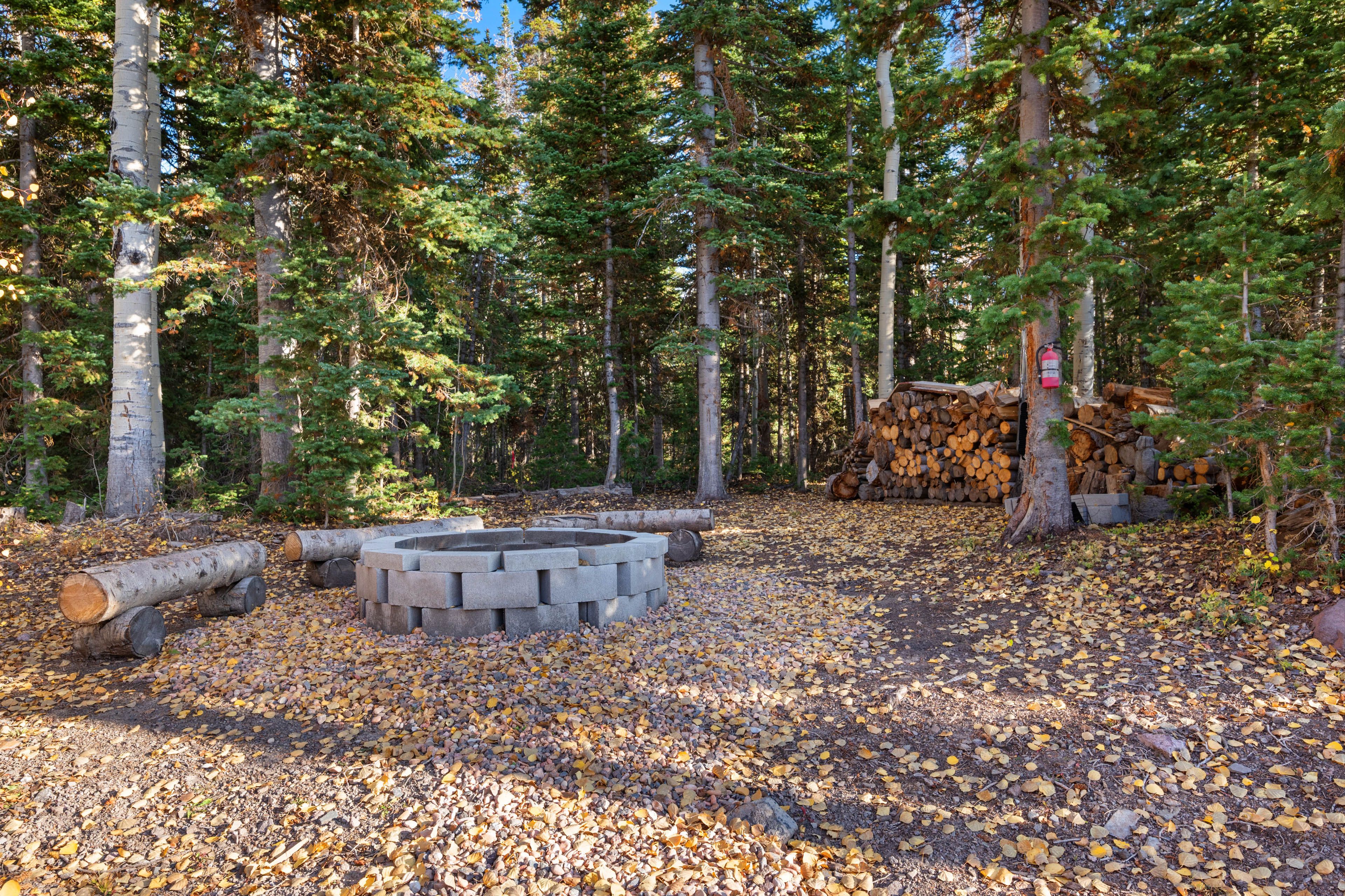 Wood-Burning Fire Pit