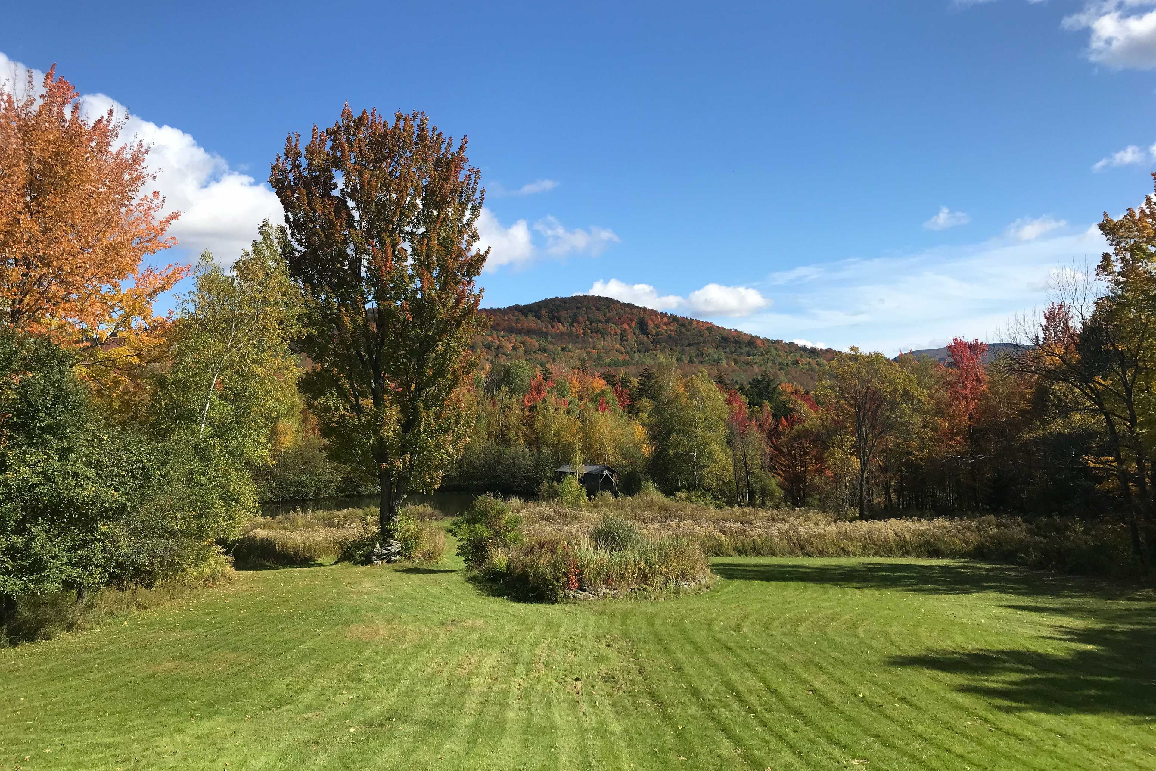 Spacious Yard | Scenic Views