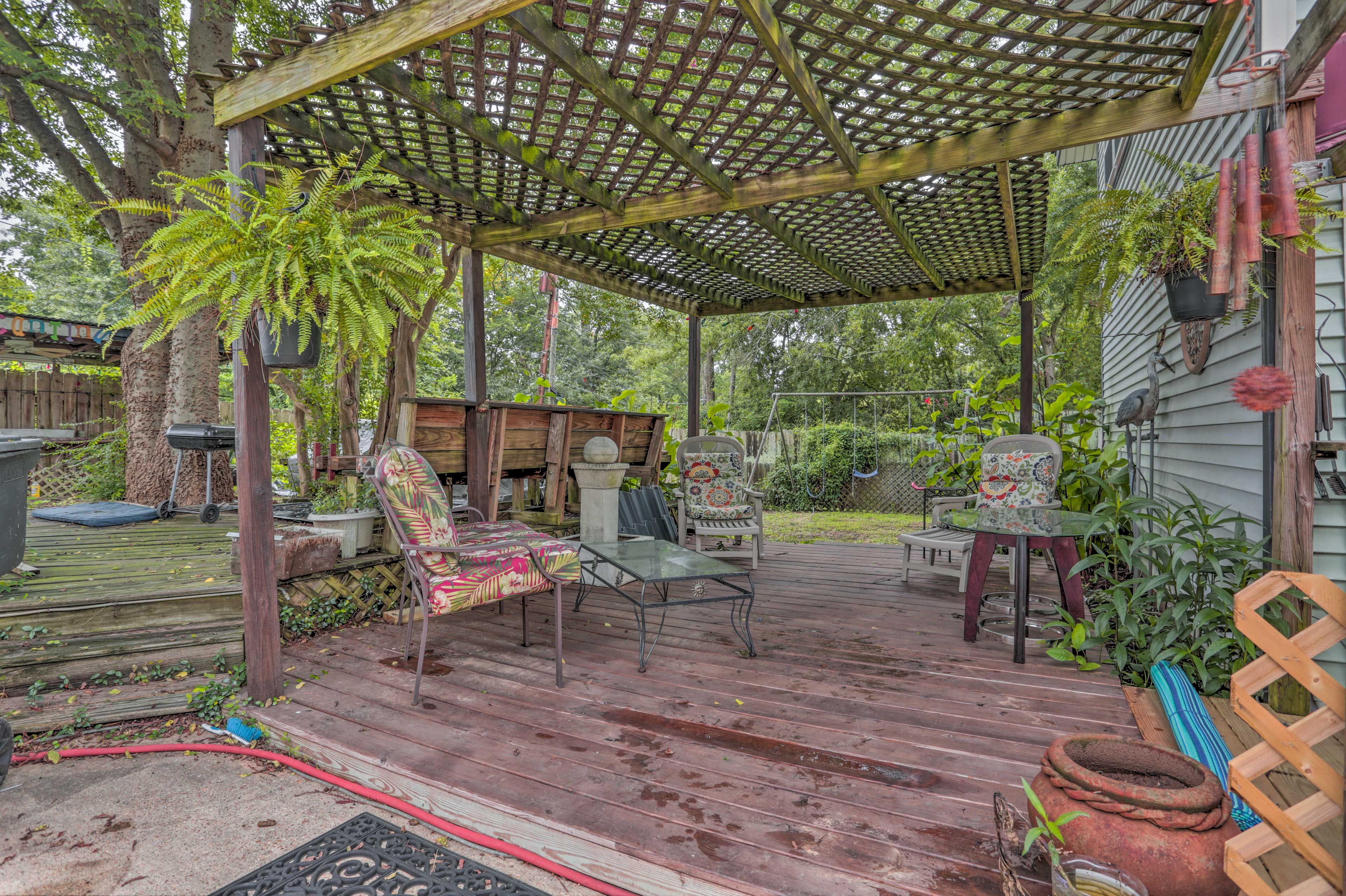 Back Yard