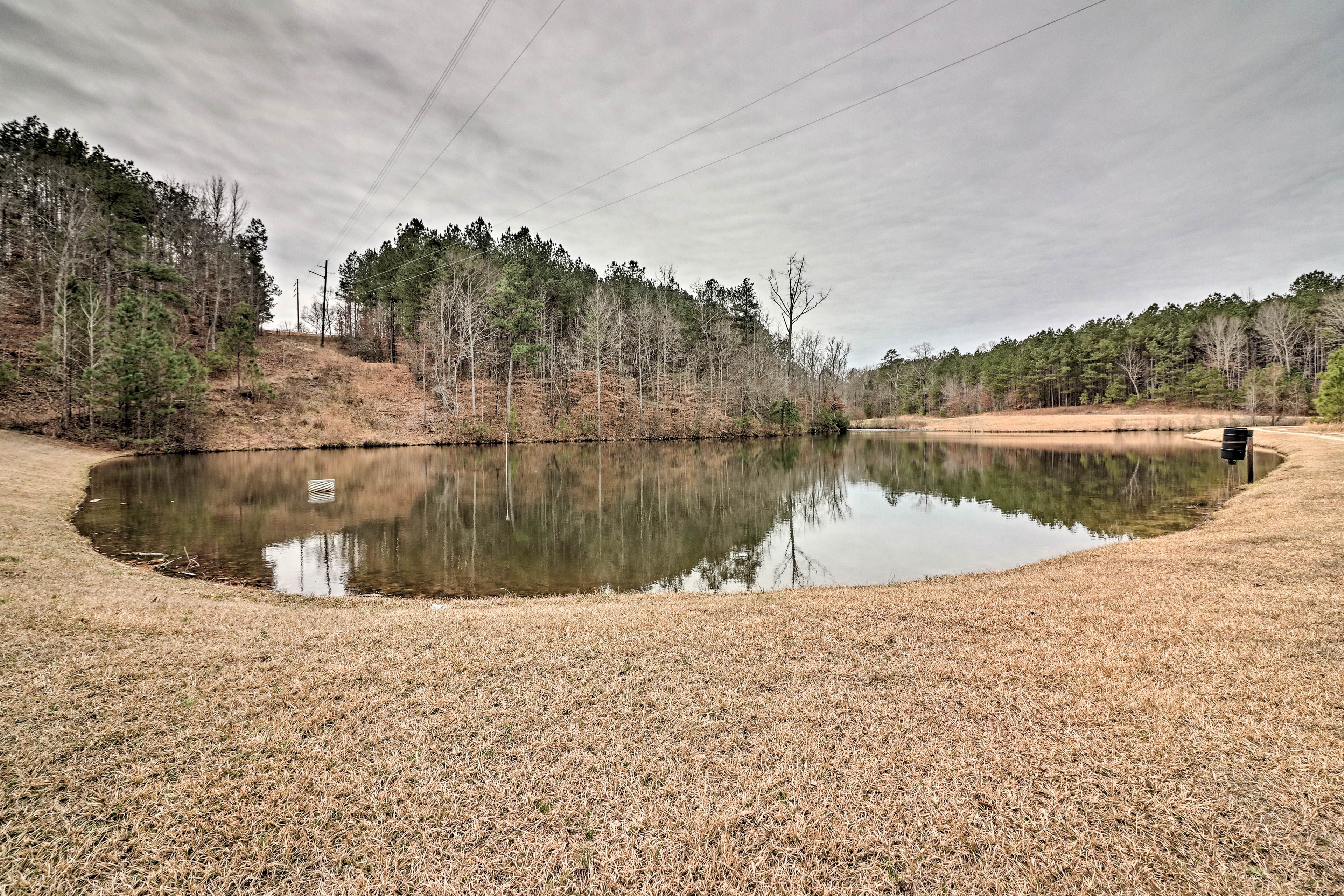 Pond On-Site
