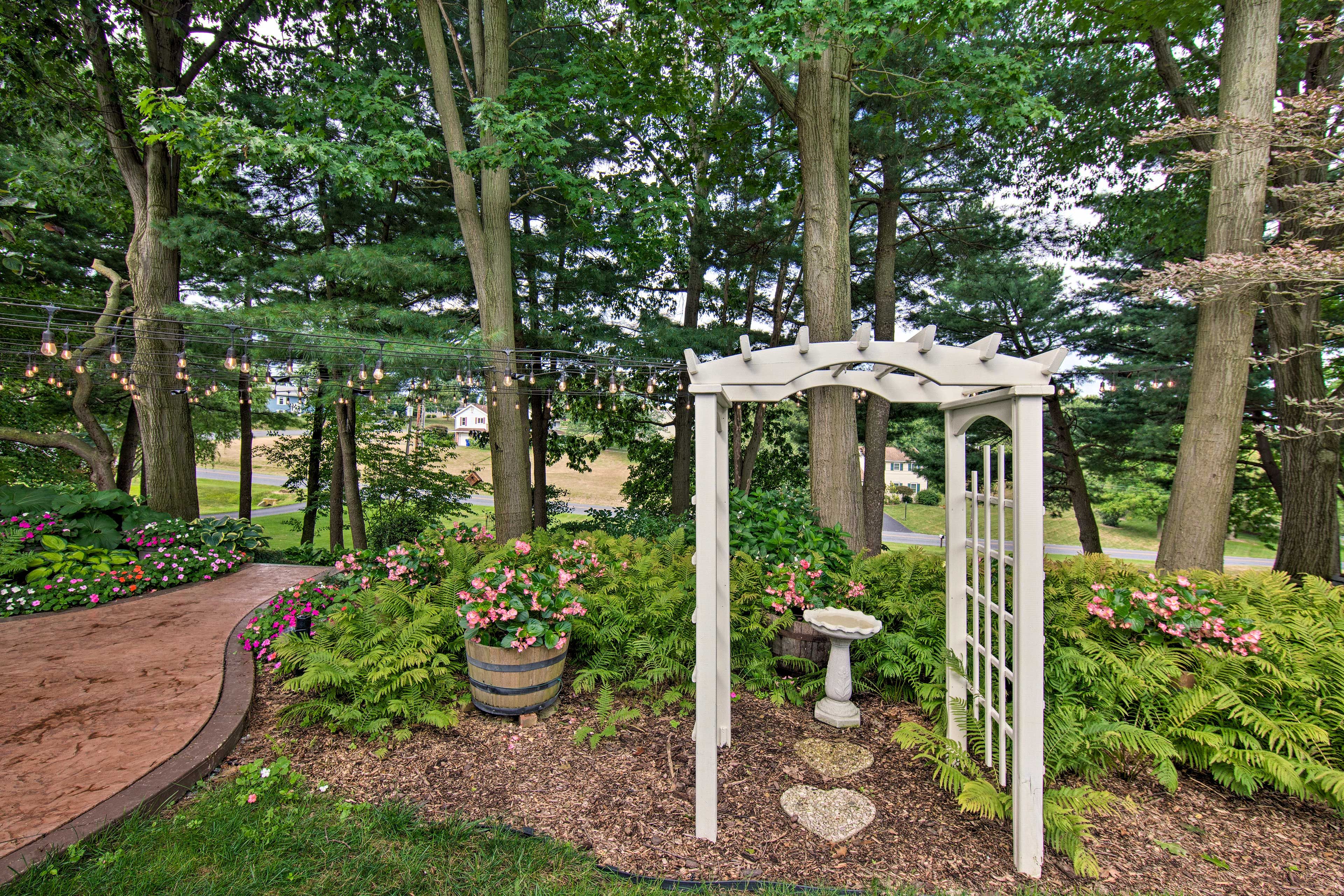 Shared Yard