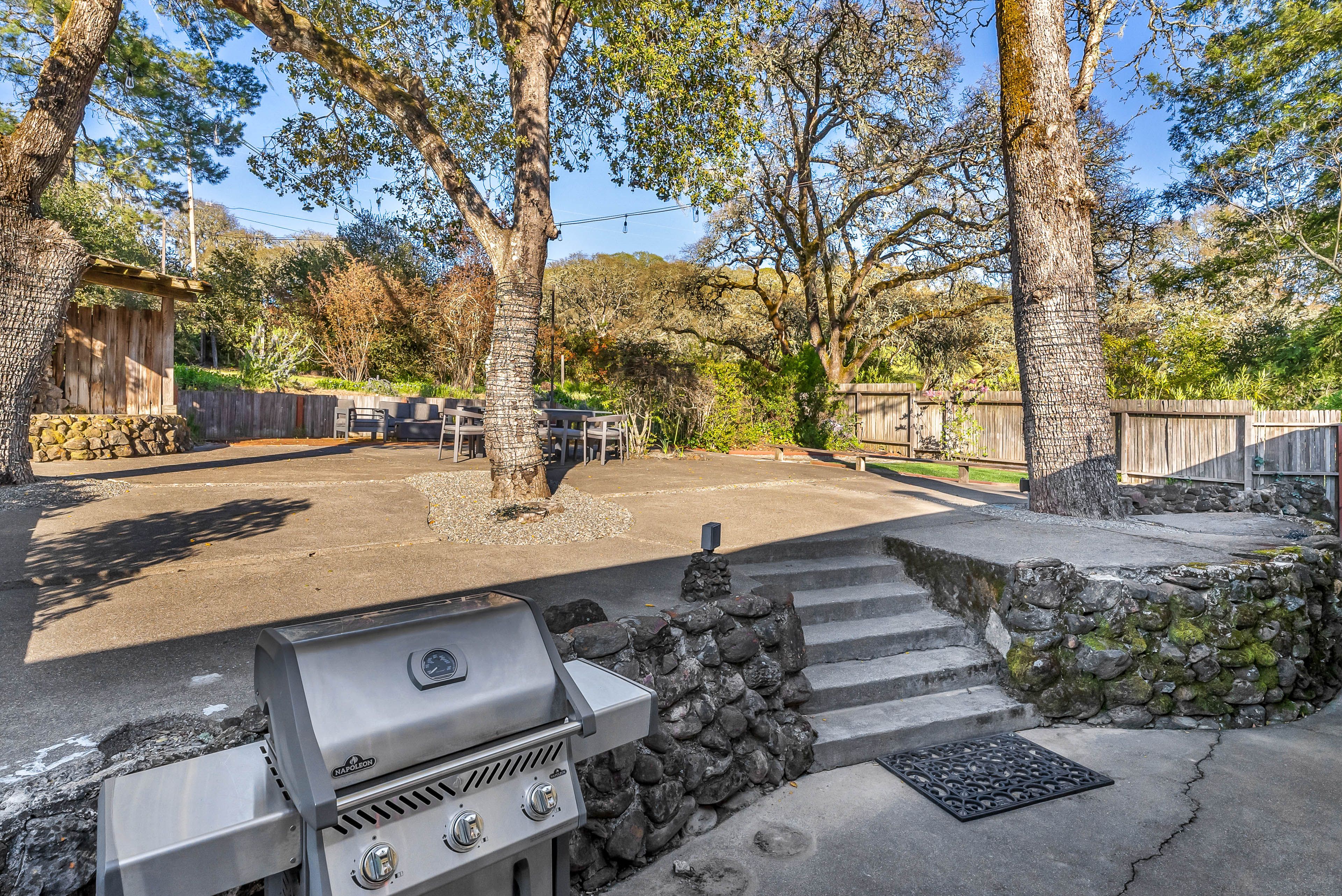Back Patio | Gas Grill