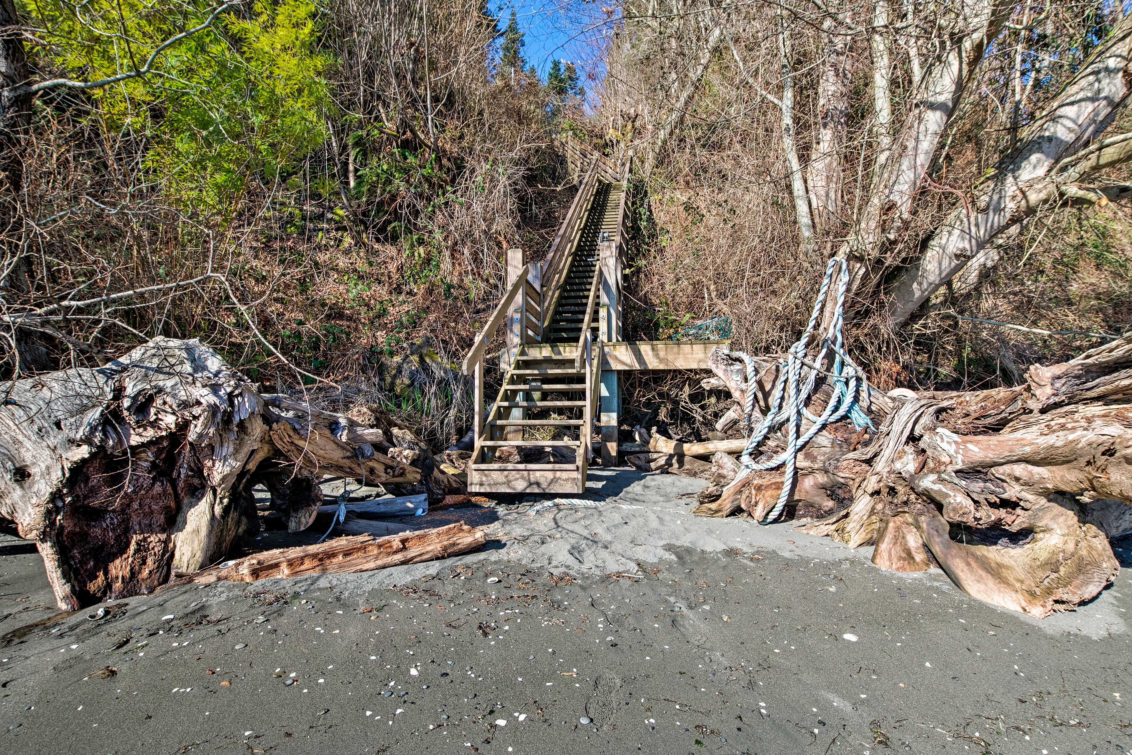 Image 40