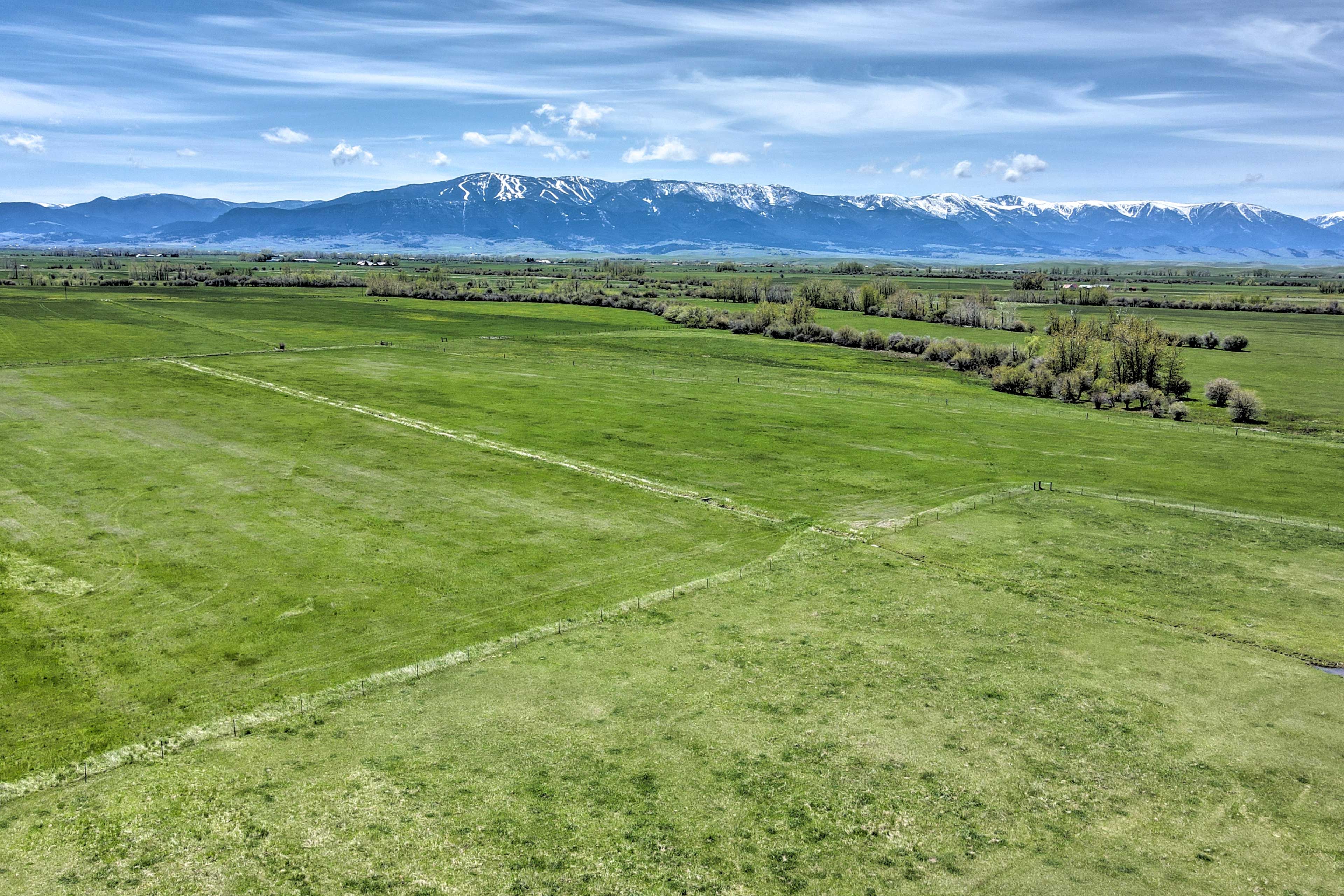 Property Views