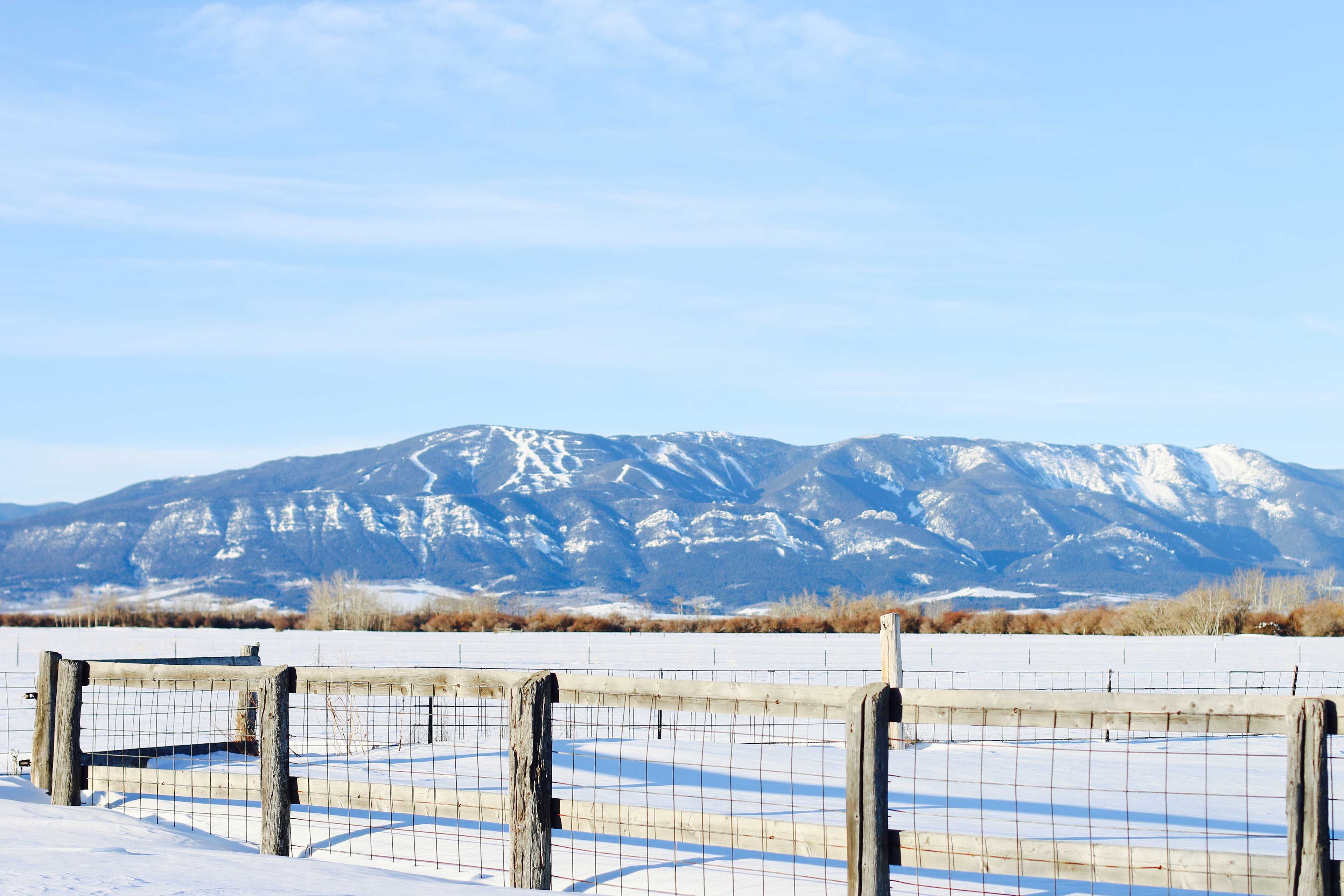 Property Views