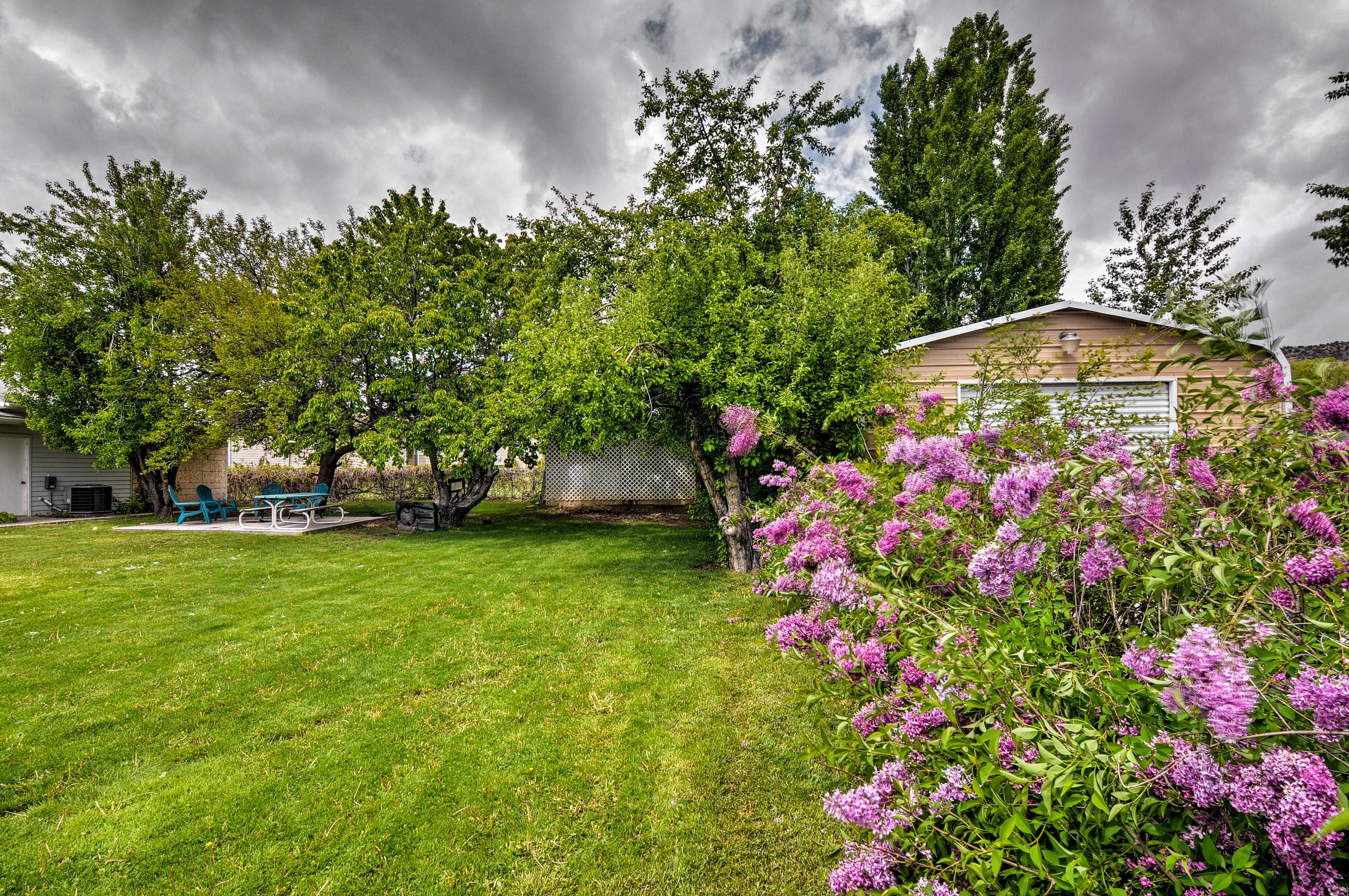Image 25