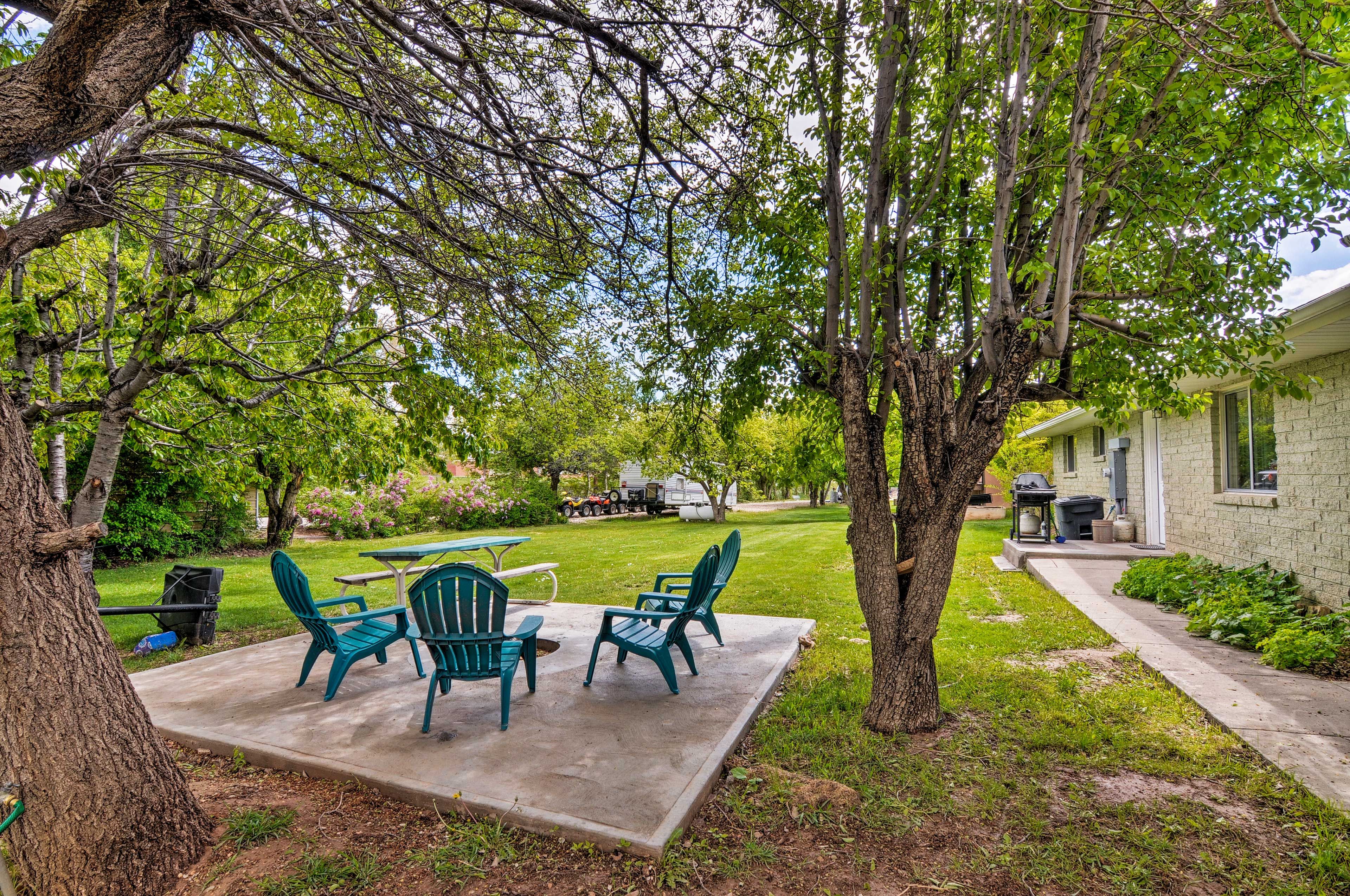 Spacious Backyard