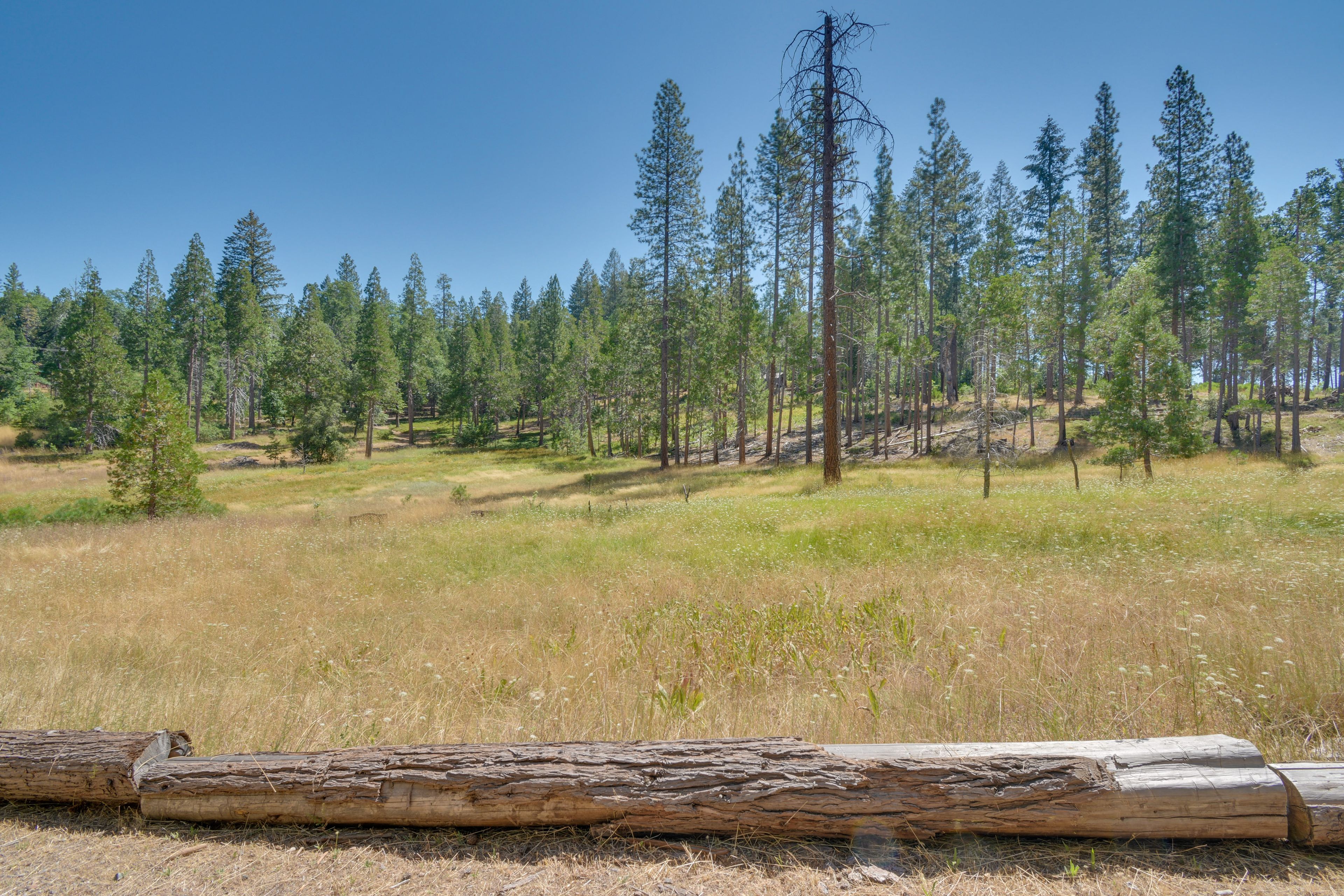 Exterior Space | 14 Acres
