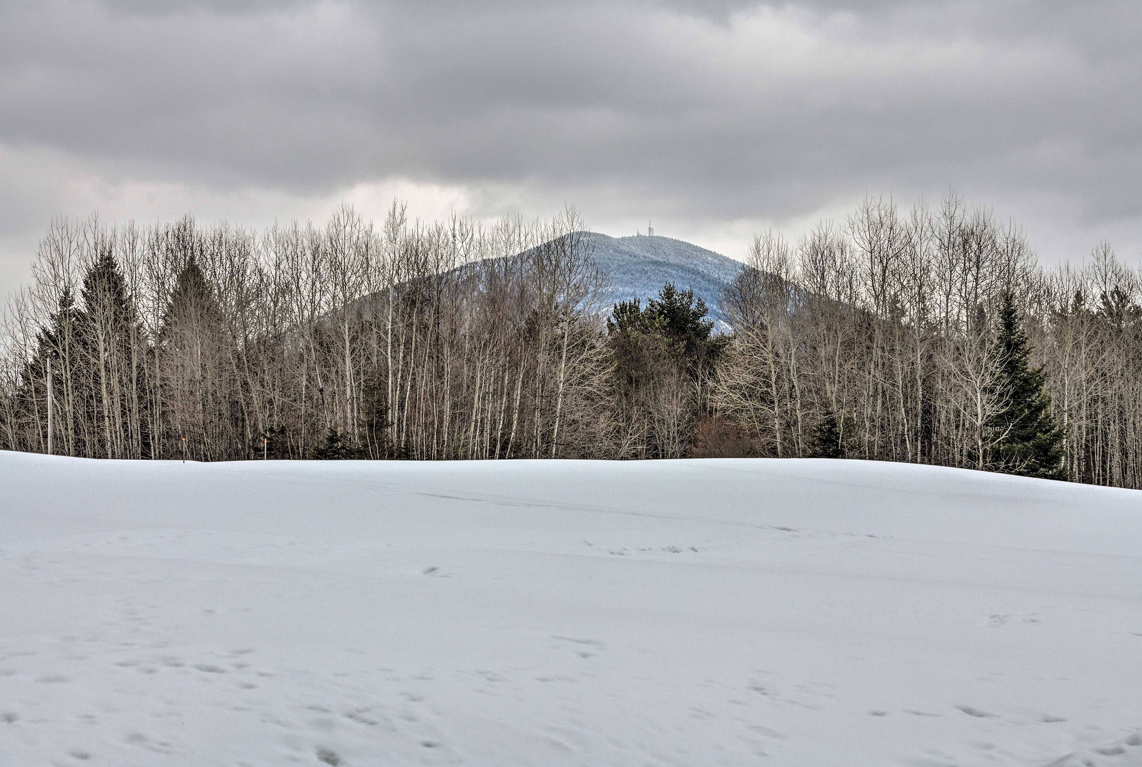 4 Miles to Burke Mountain Resort