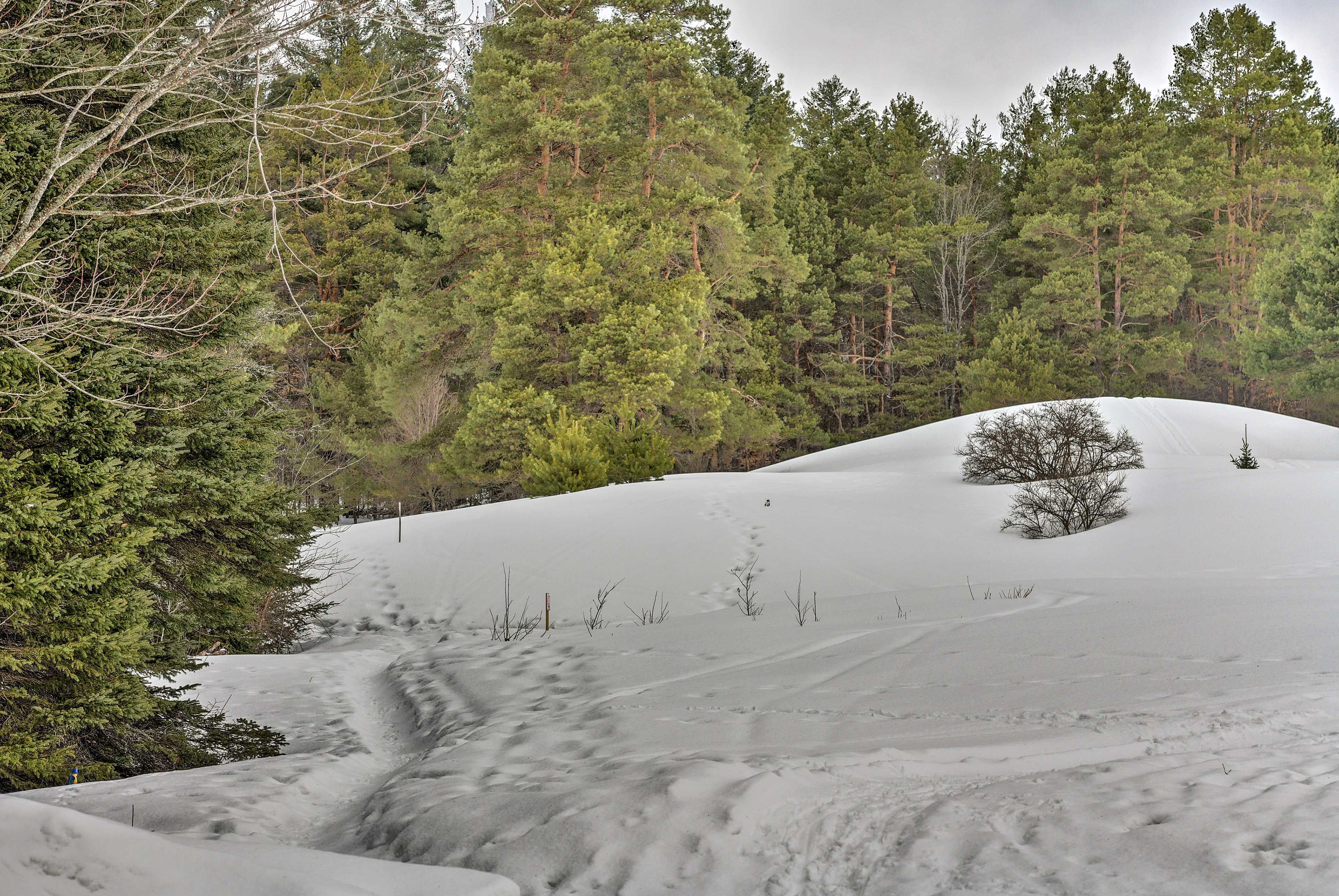 Exterior Space | Wintertime