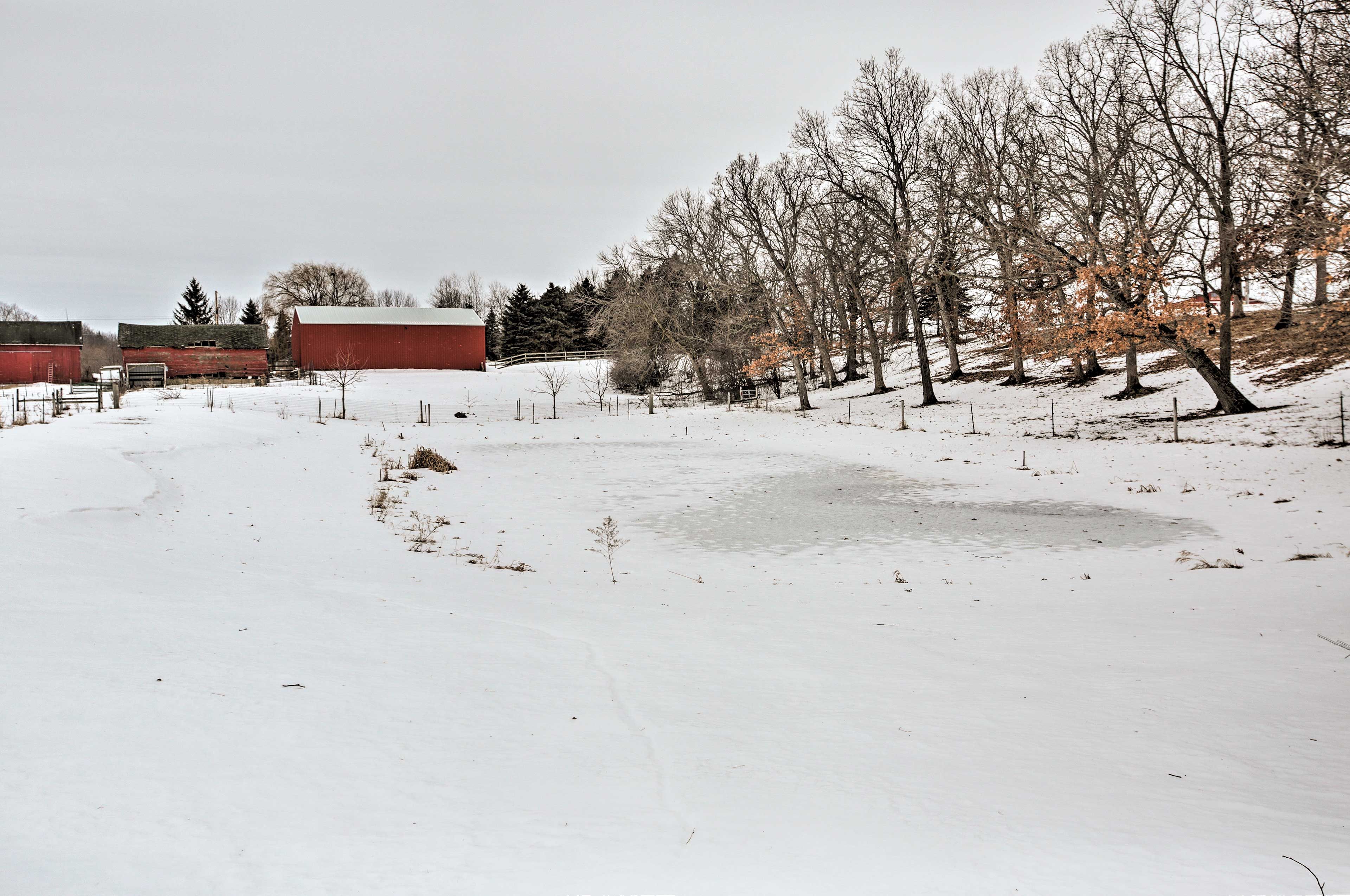7-Acre Property